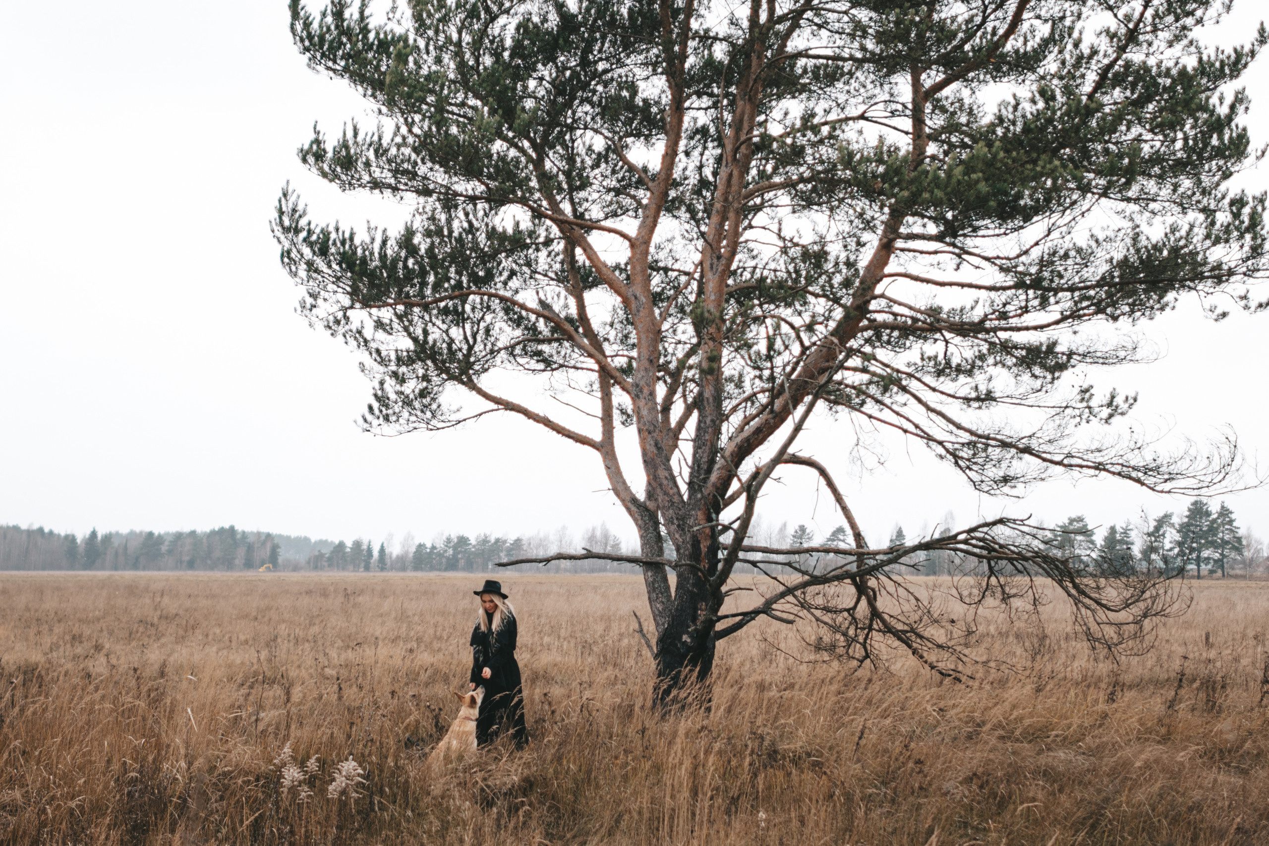 Юлия Гармонщикова. Фотограф и владелица фотостудии. Свадебный и семейный фотограф Вероника Холод