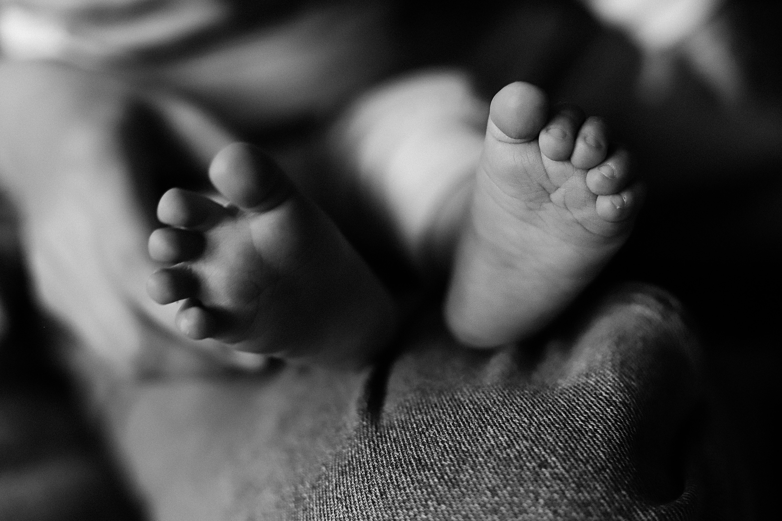 Саша и Марк дома. Фотограф в Краснодаре Алена Соколовская