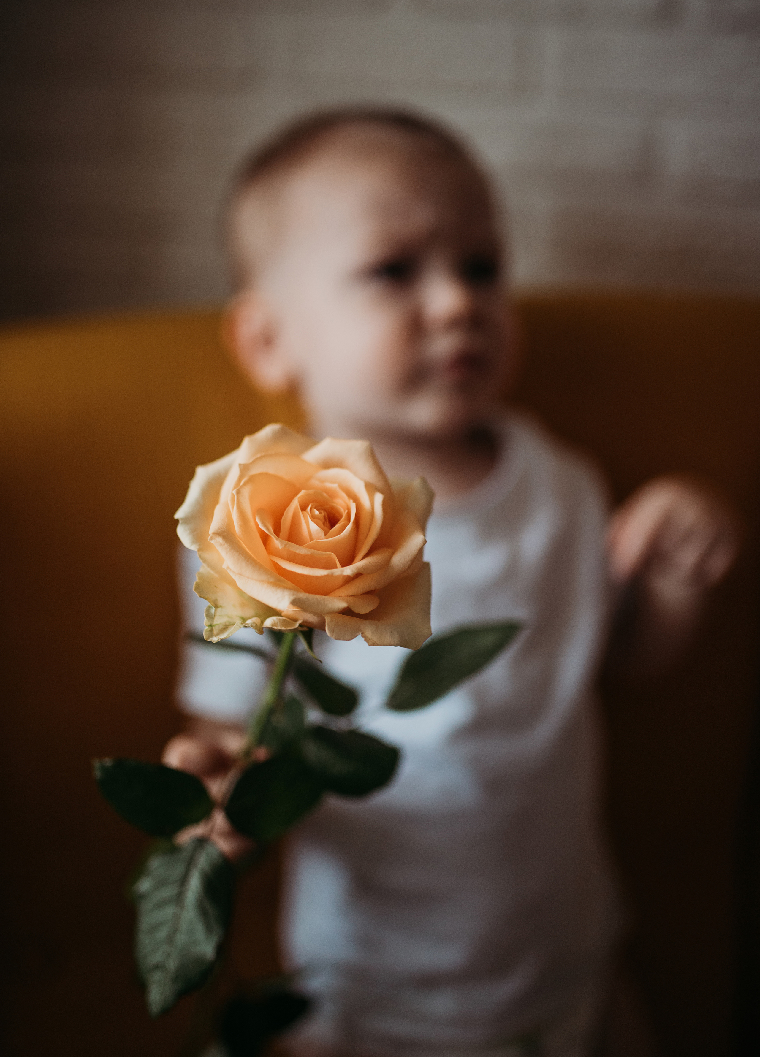 День рождения Вани. Фотограф в Краснодаре Алена Соколовская