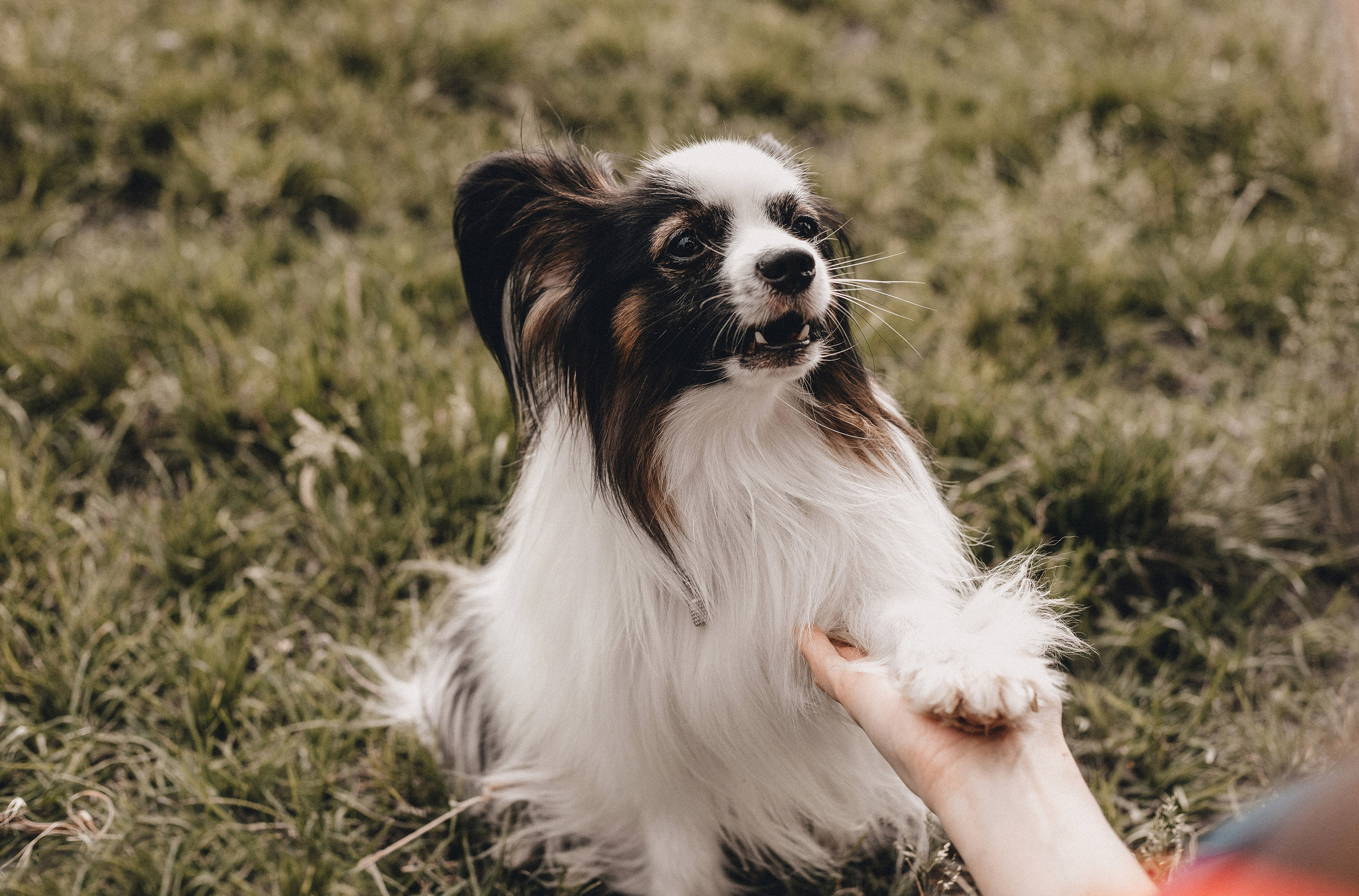 Ира и Пушкин. Фотограф в Краснодаре Алена Соколовская