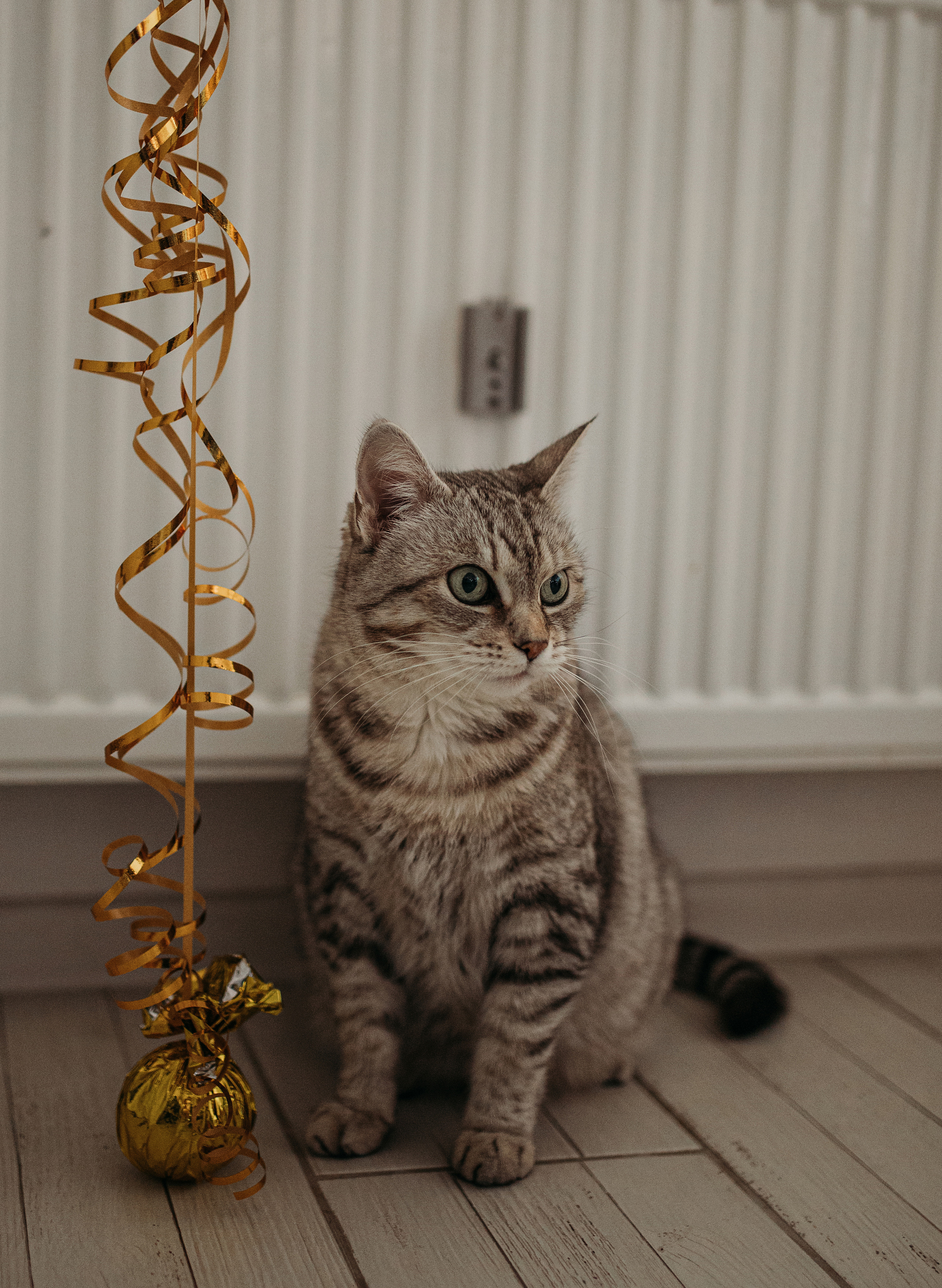 День рождения Вани. Фотограф в Краснодаре Алена Соколовская