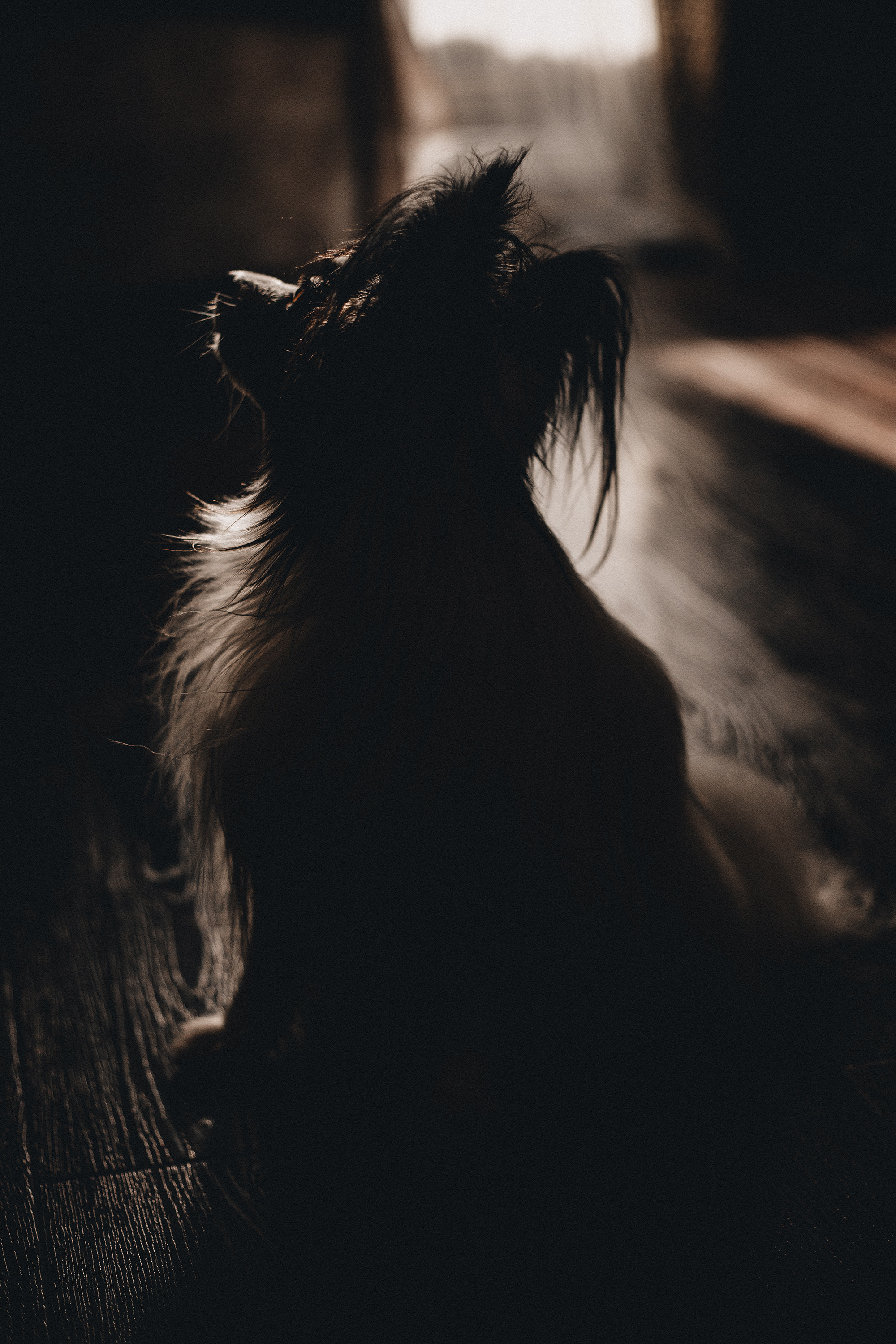 Пушкин. Фотограф в Краснодаре Алена Соколовская