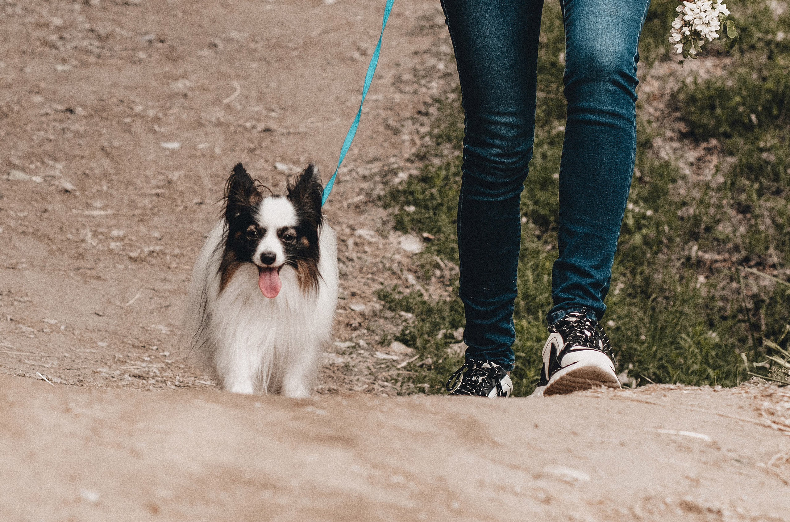 Ира и Пушкин. Фотограф в Краснодаре Алена Соколовская