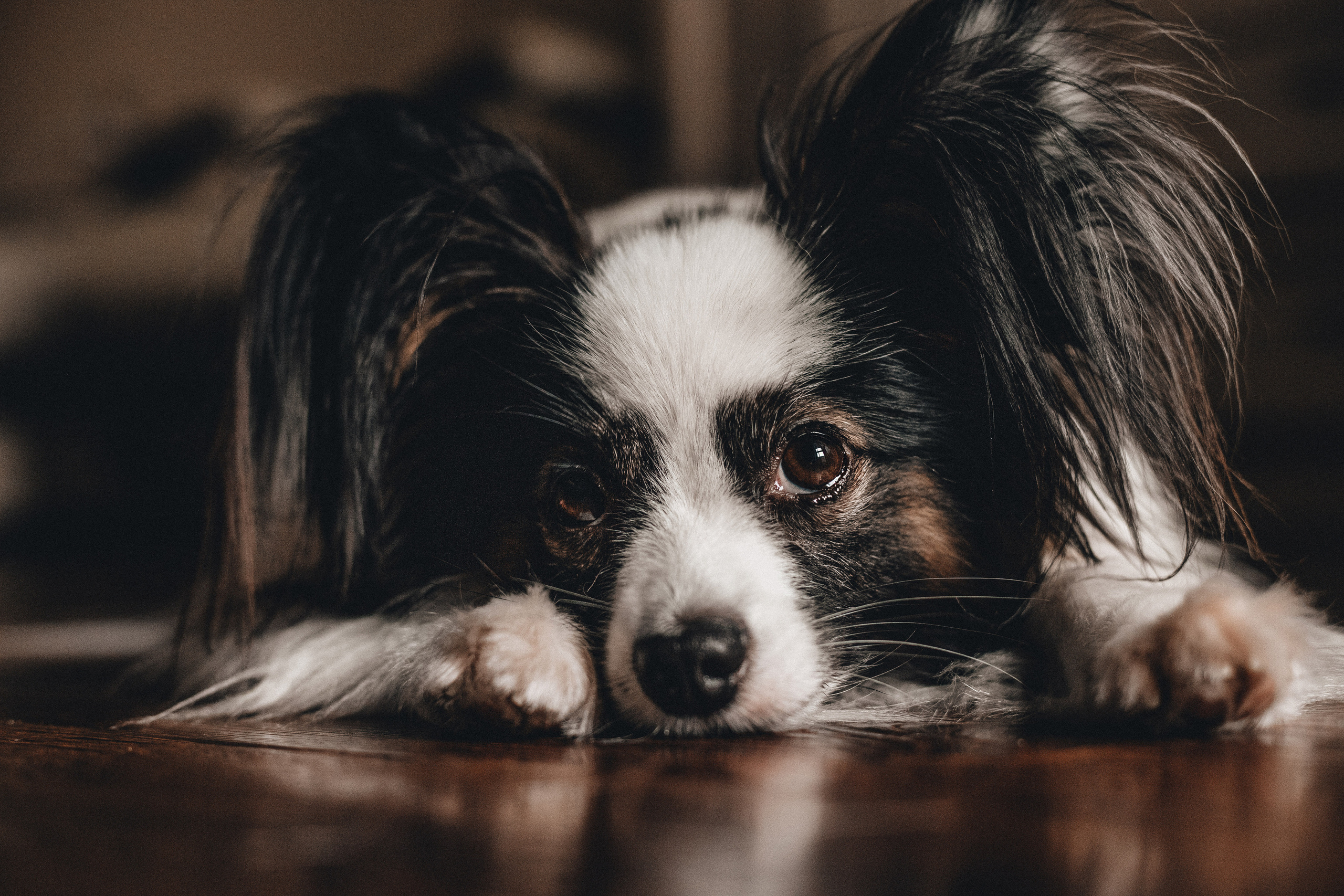 Пушкин. Фотограф в Краснодаре Алена Соколовская