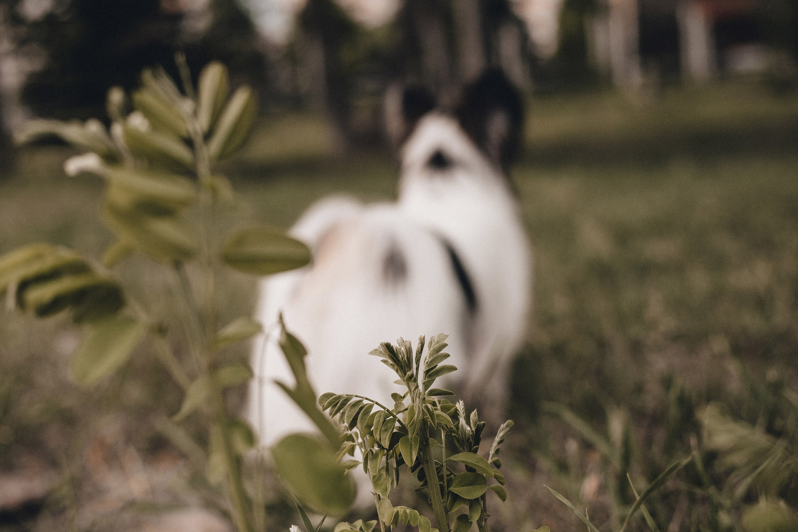 Ира и Пушкин. Фотограф в Краснодаре Алена Соколовская