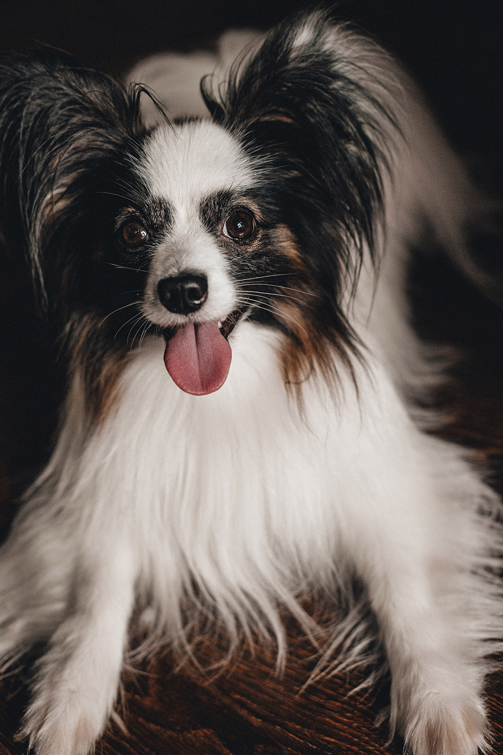 Пушкин. Фотограф в Краснодаре Алена Соколовская