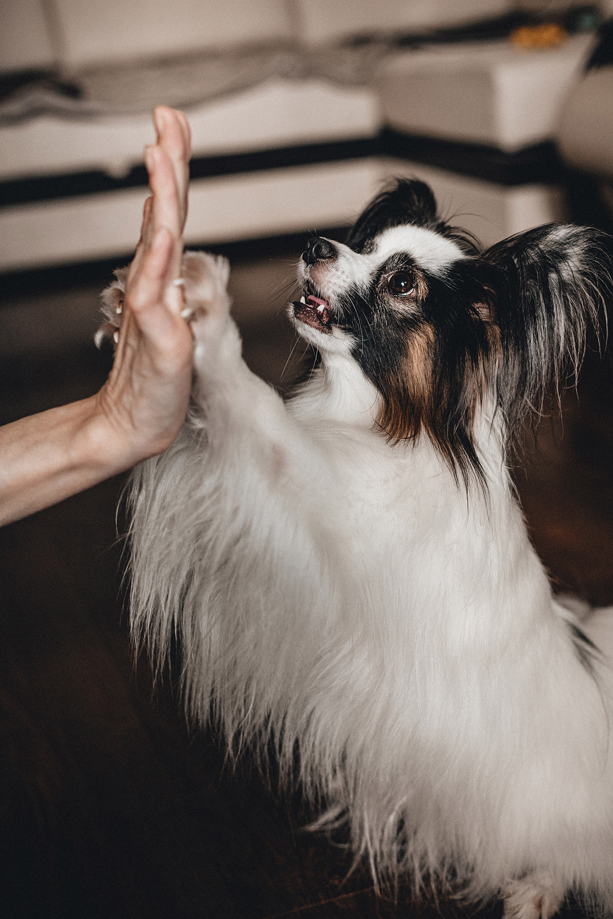 Пушкин. Фотограф в Краснодаре Алена Соколовская