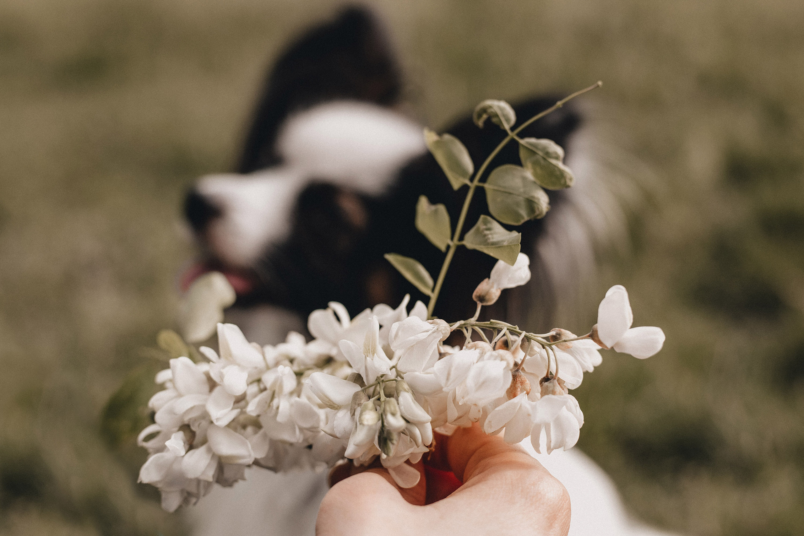 Ира и Пушкин. Фотограф в Краснодаре Алена Соколовская