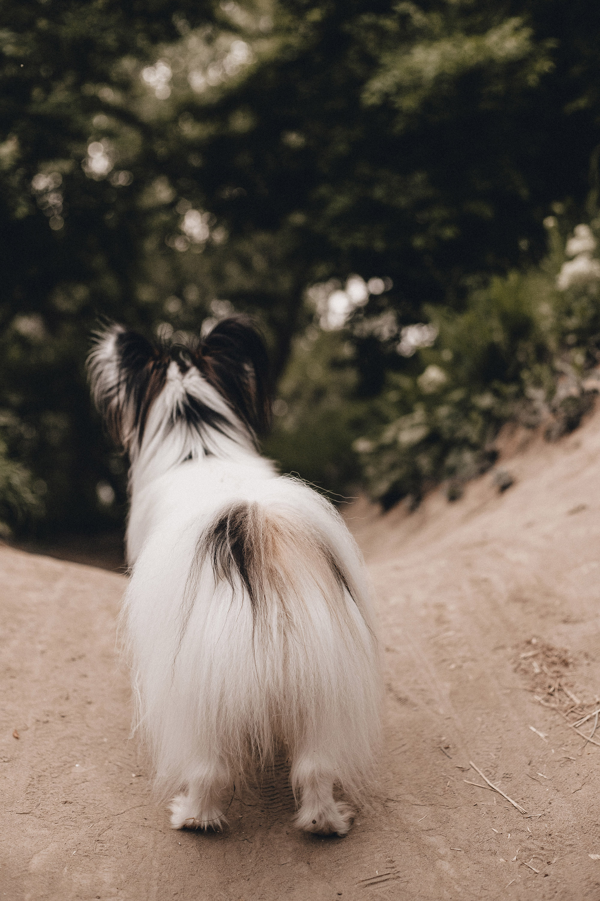 Ира и Пушкин. Фотограф в Краснодаре Алена Соколовская