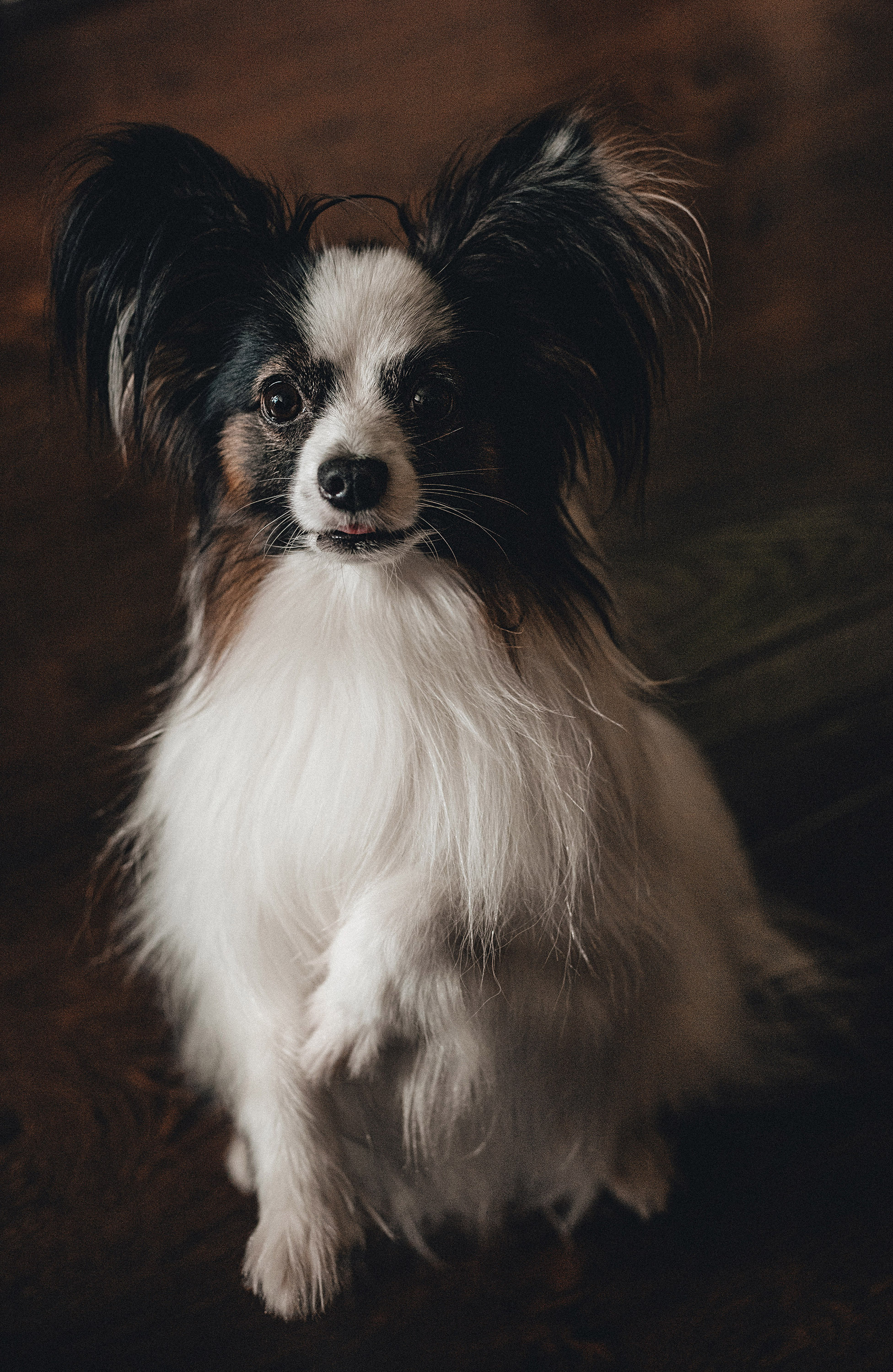 Пушкин. Фотограф в Краснодаре Алена Соколовская