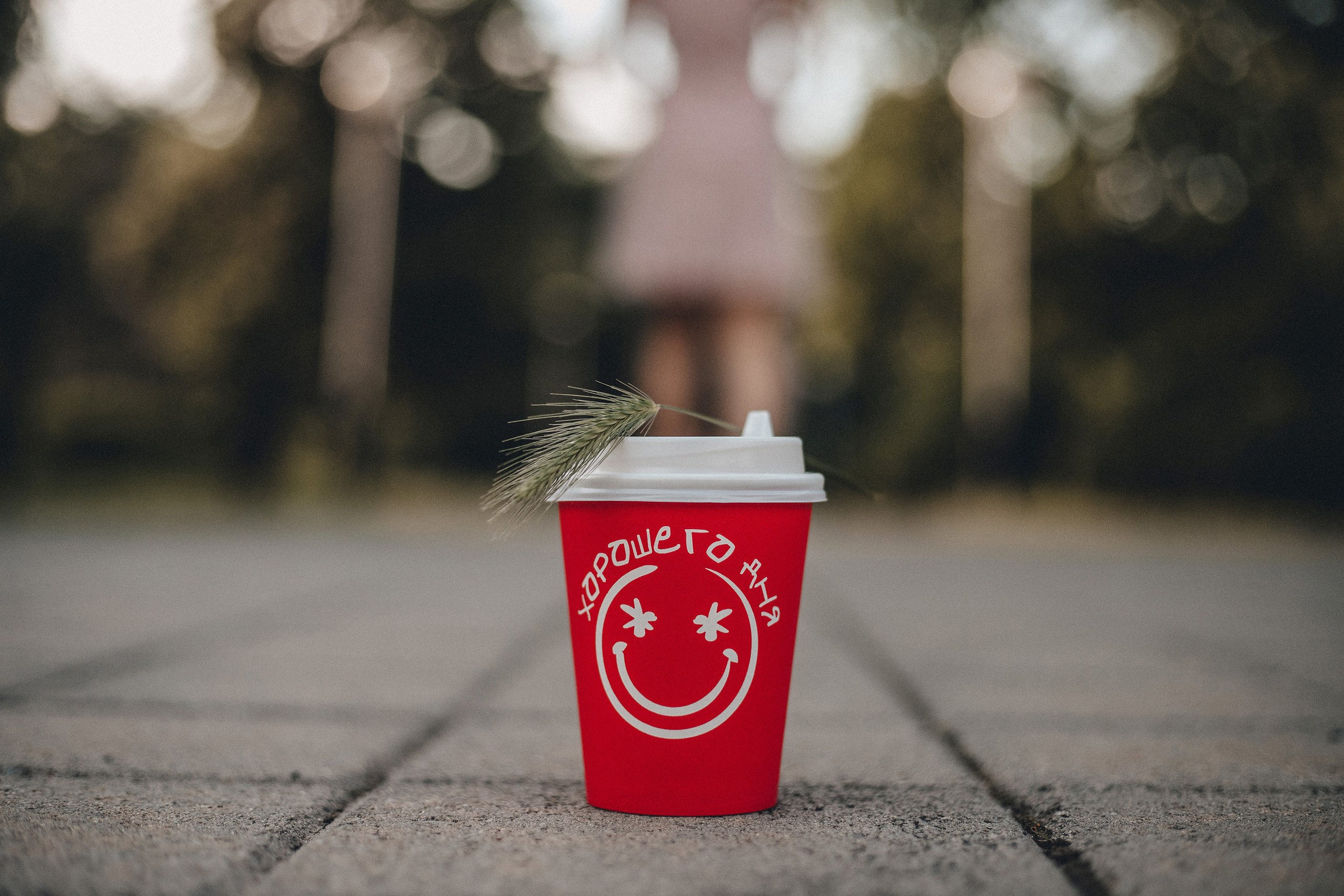 Хорошего дня. Фотограф в Краснодаре Алена Соколовская