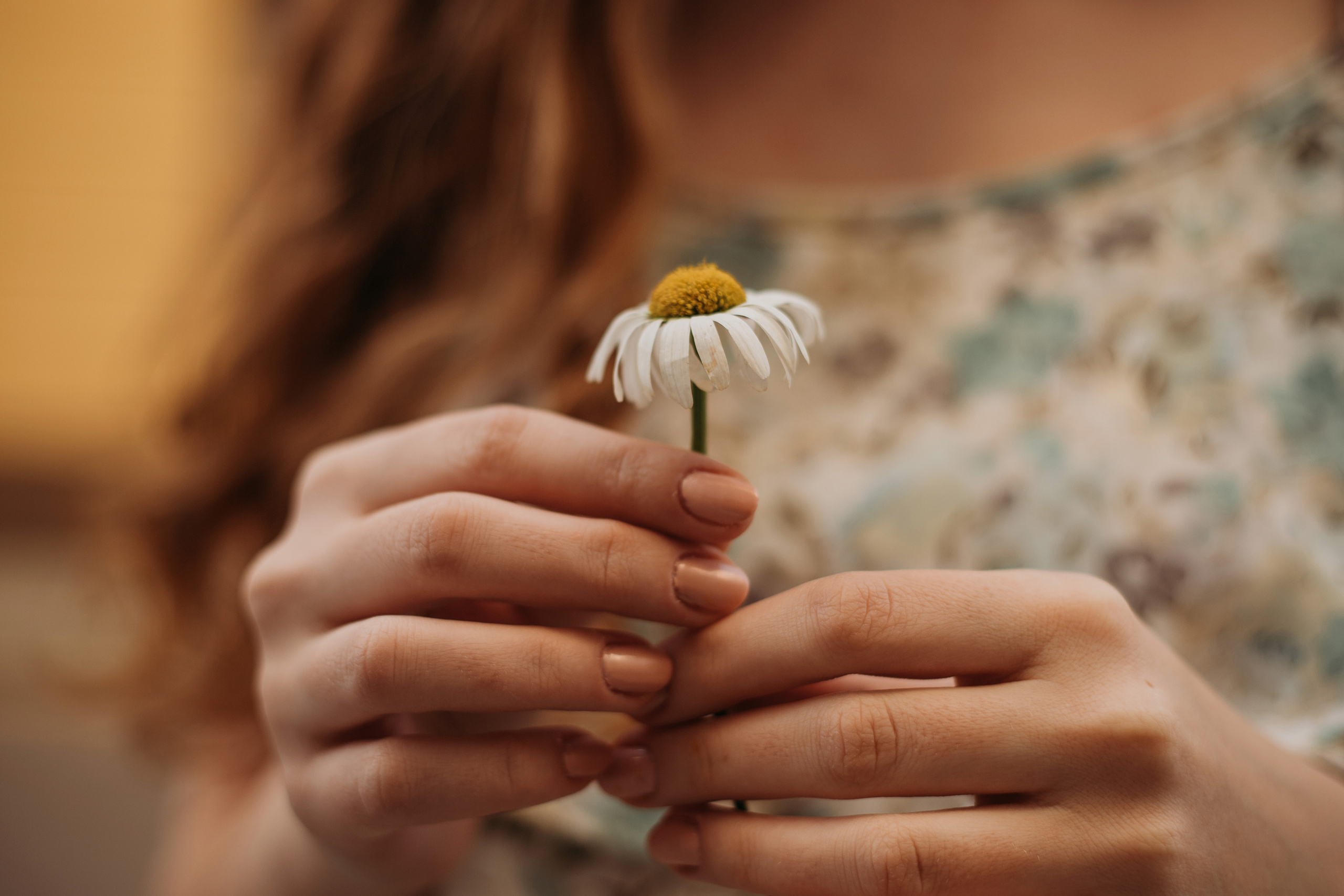 Ну, какова красота!))). Фотограф в Краснодаре Алена Соколовская