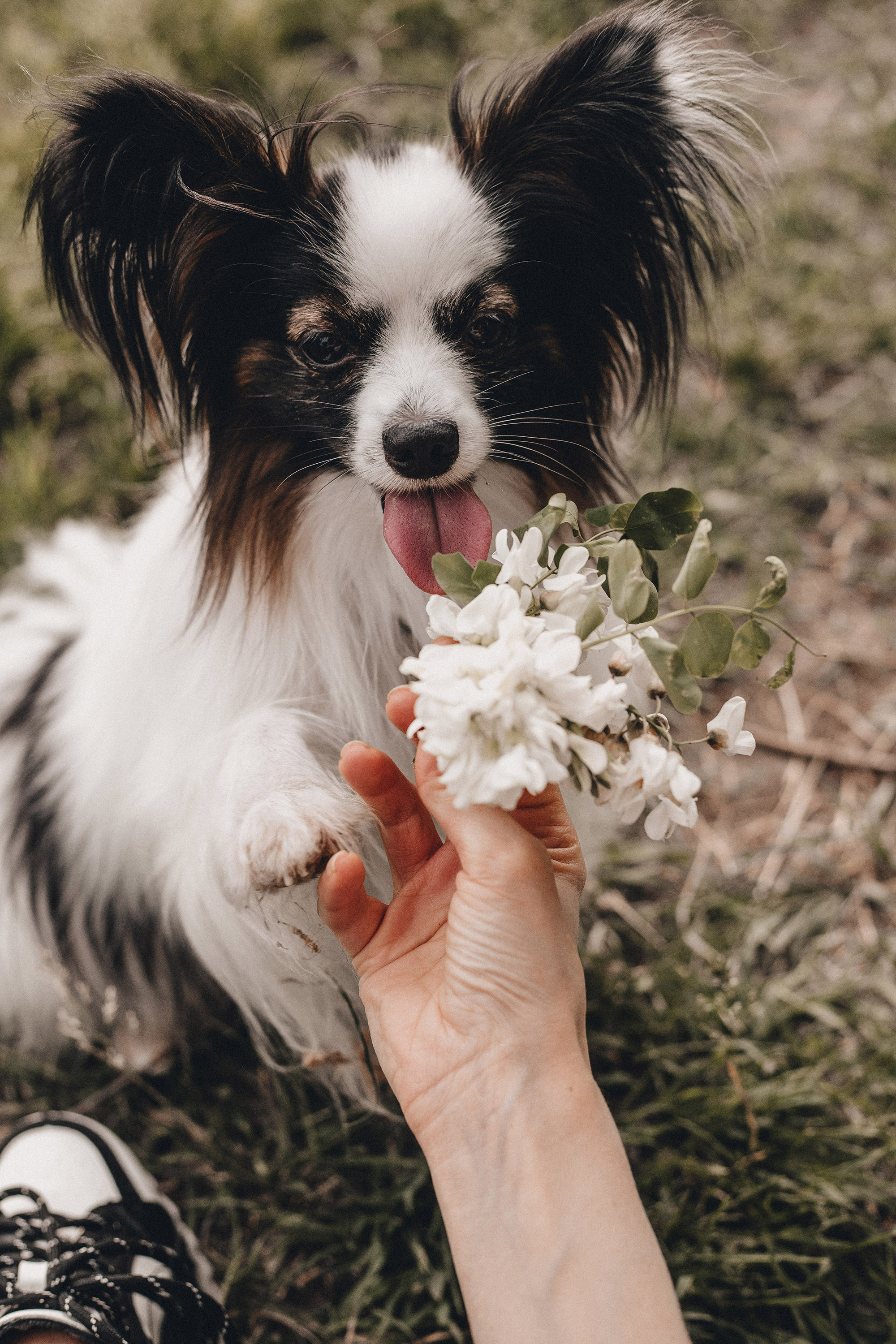 Ира и Пушкин. Фотограф в Краснодаре Алена Соколовская