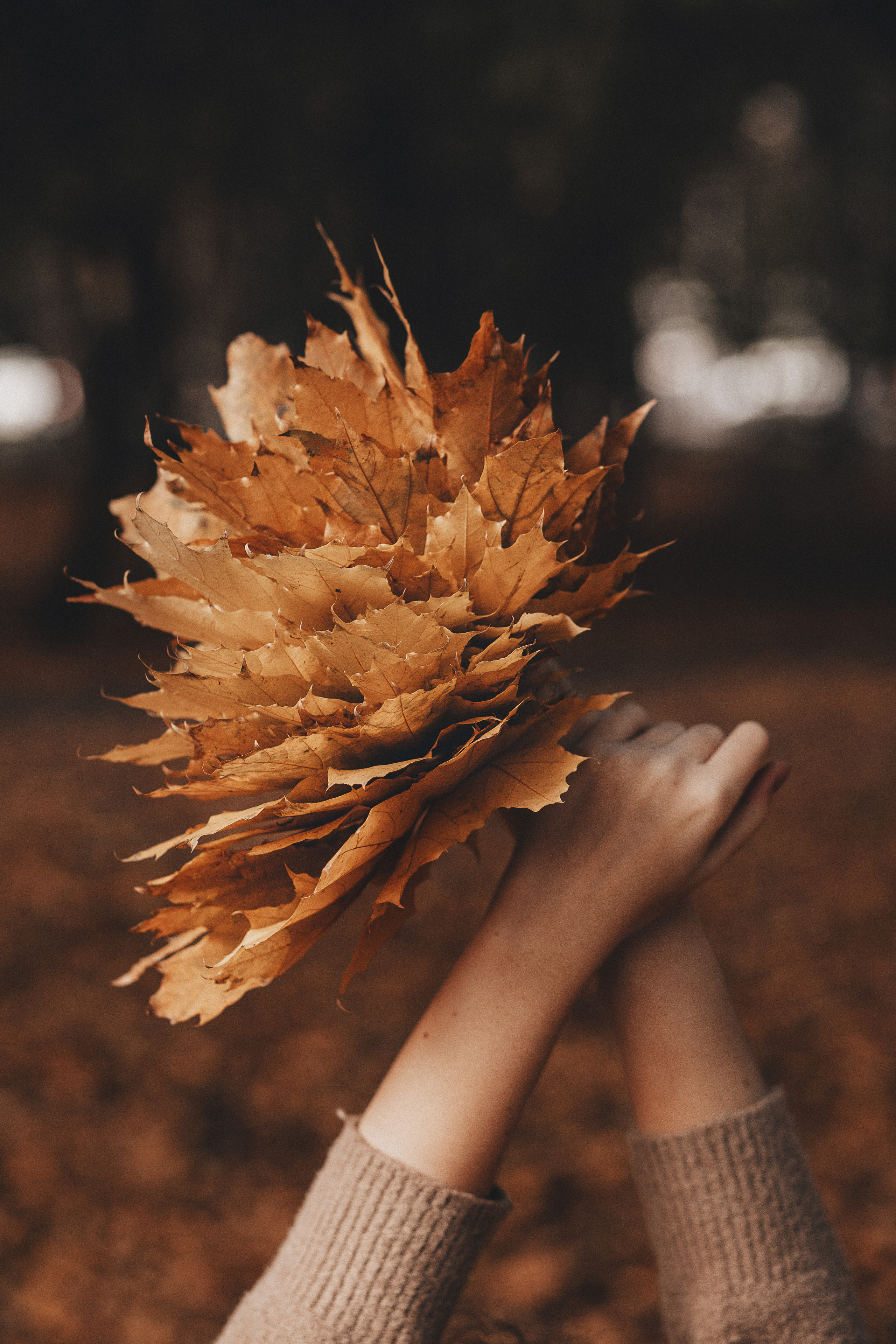 Кроет уж лист золотой…. Фотограф в Краснодаре Алена Соколовская