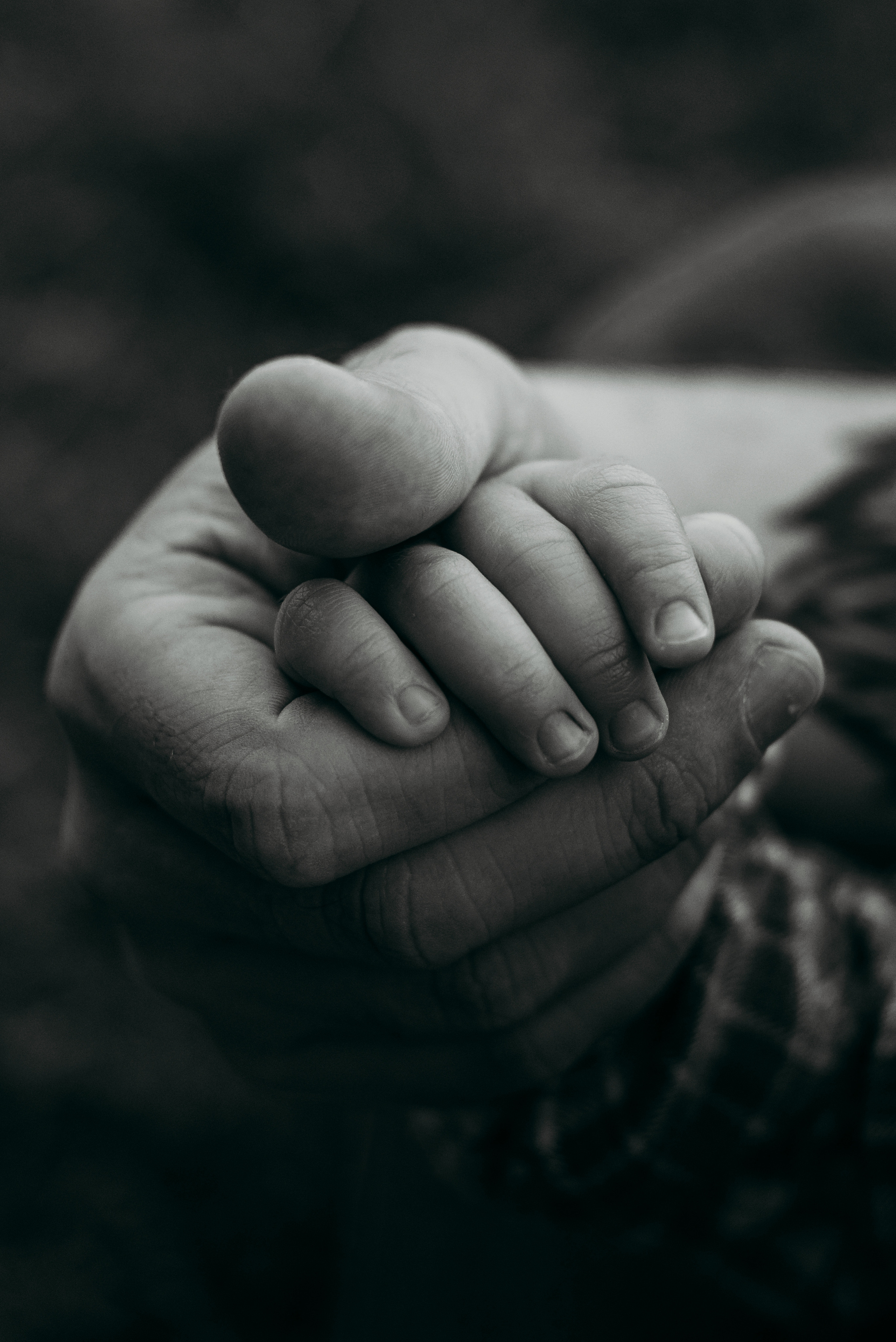 Саша, Саша, Марк и Ричи. Фотограф в Краснодаре Алена Соколовская