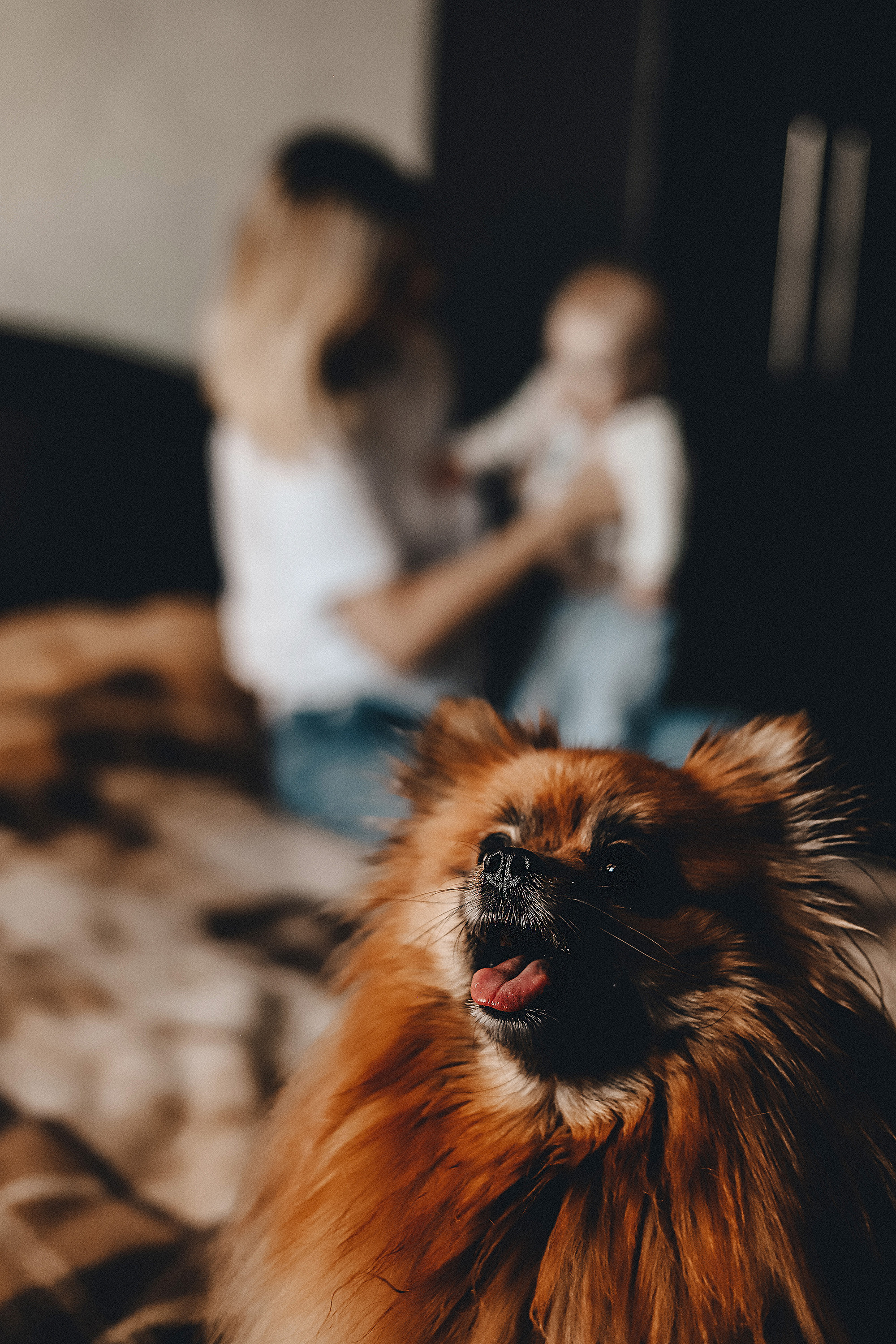 Саша и Марк дома. Фотограф в Краснодаре Алена Соколовская