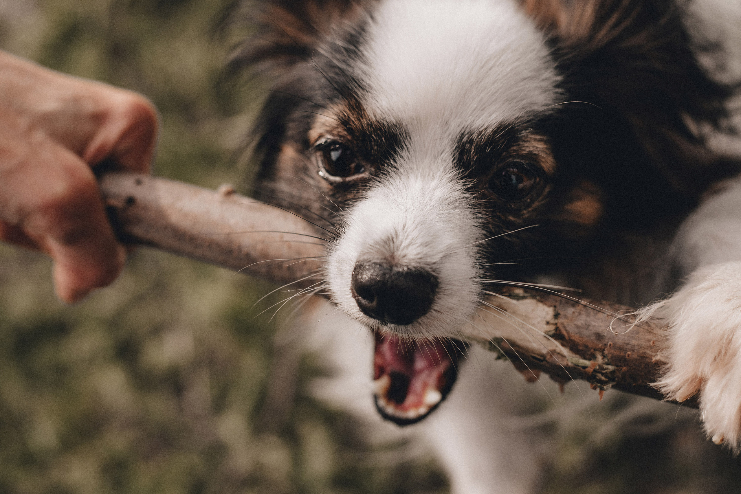 Ира и Пушкин. Фотограф в Краснодаре Алена Соколовская