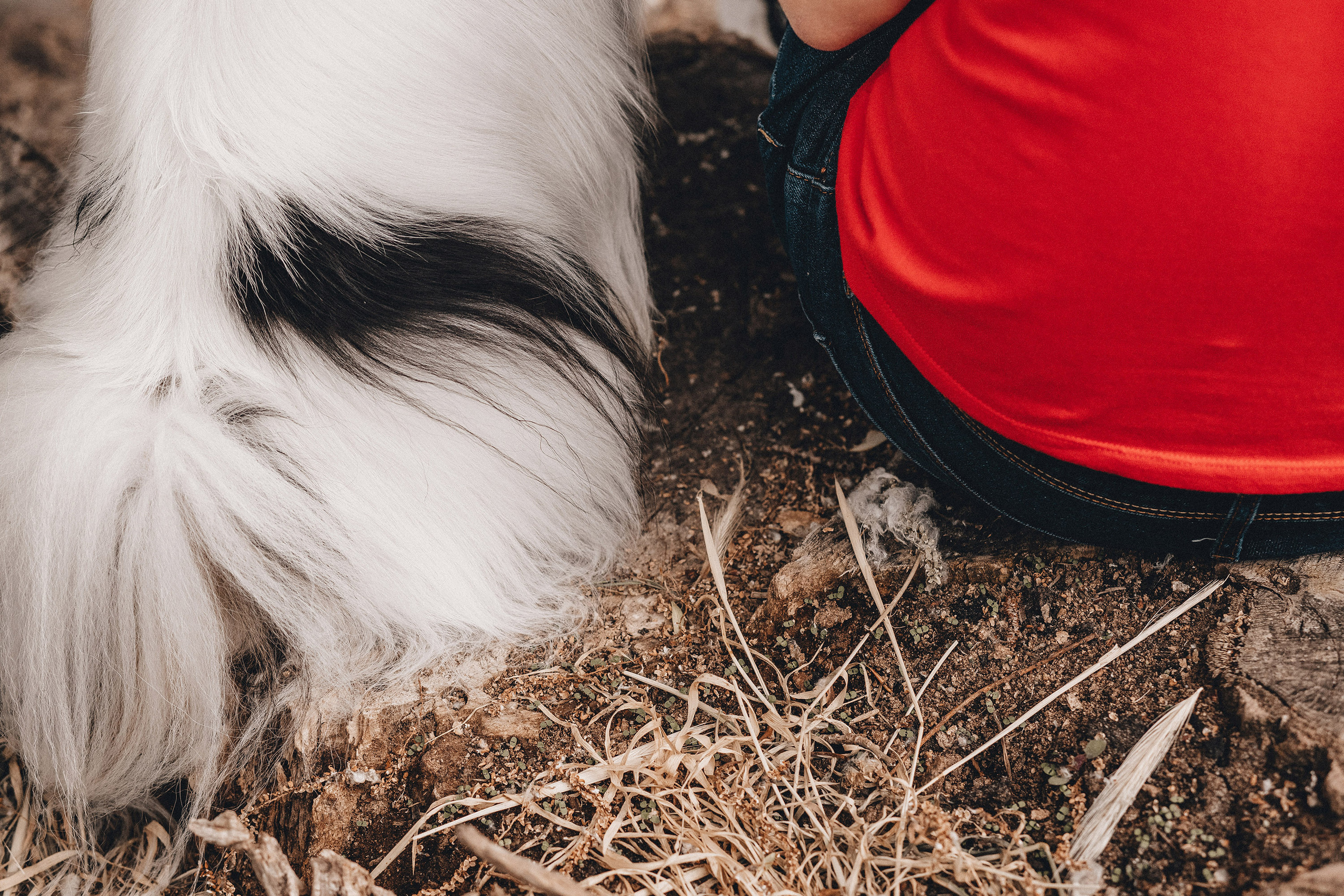 Ира и Пушкин. Фотограф в Краснодаре Алена Соколовская