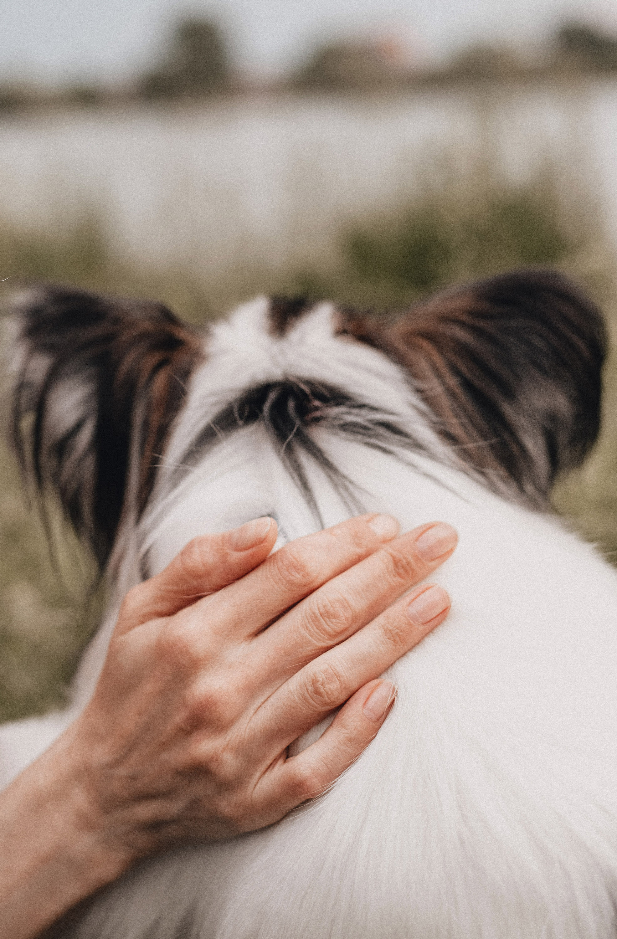 Ира и Пушкин. Фотограф в Краснодаре Алена Соколовская