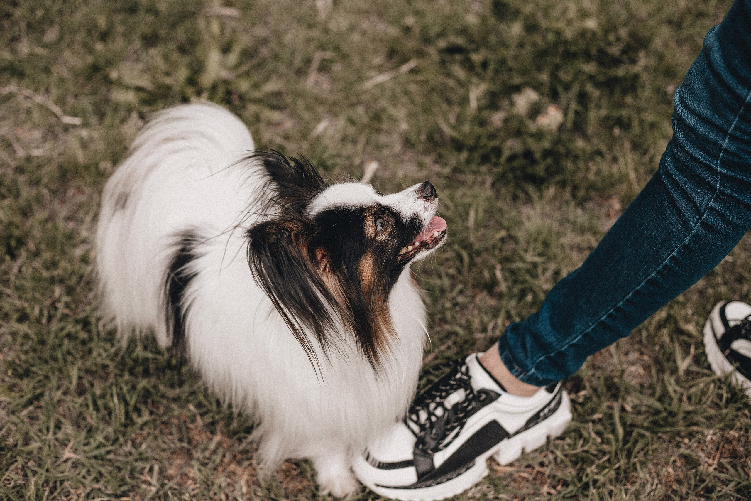 Ира и Пушкин. Фотограф в Краснодаре Алена Соколовская