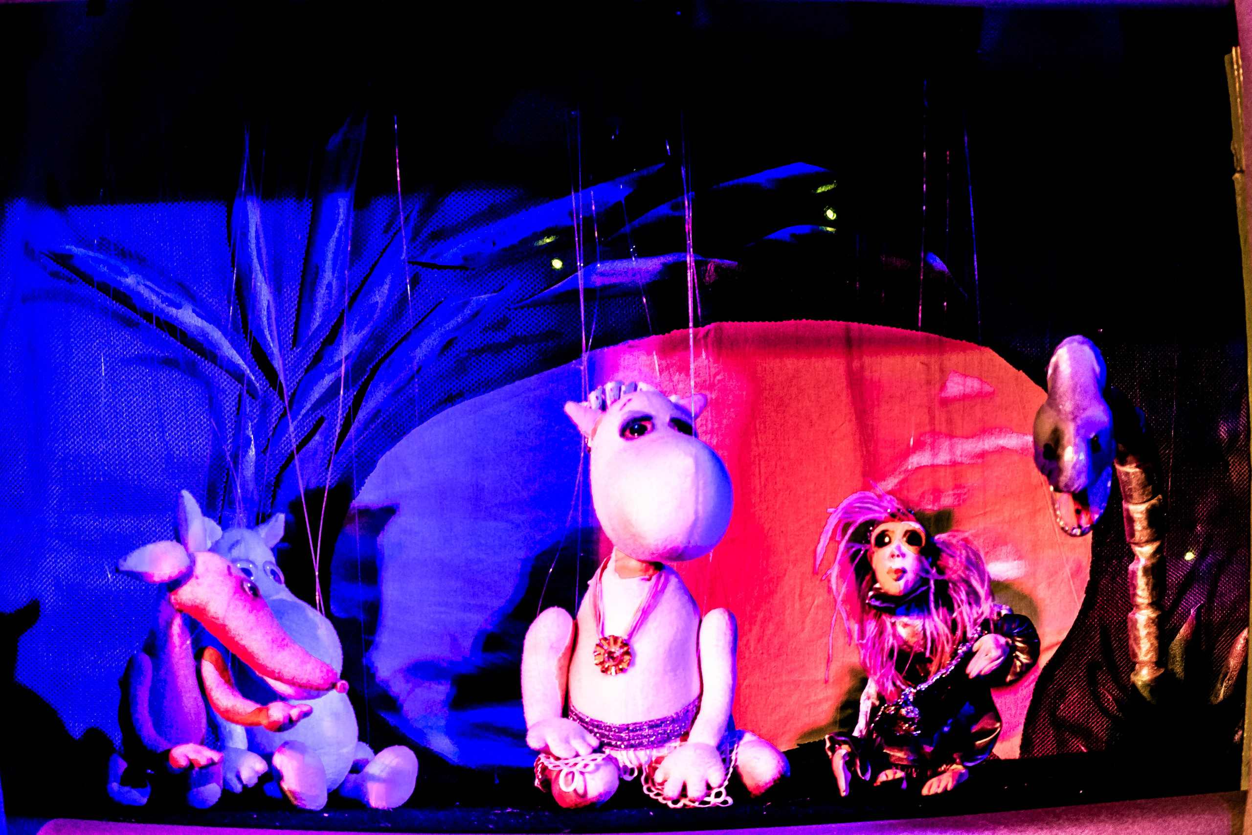 «Муми тролли и большое наводнение». Фотограф в Сочи Юрий Шептаев