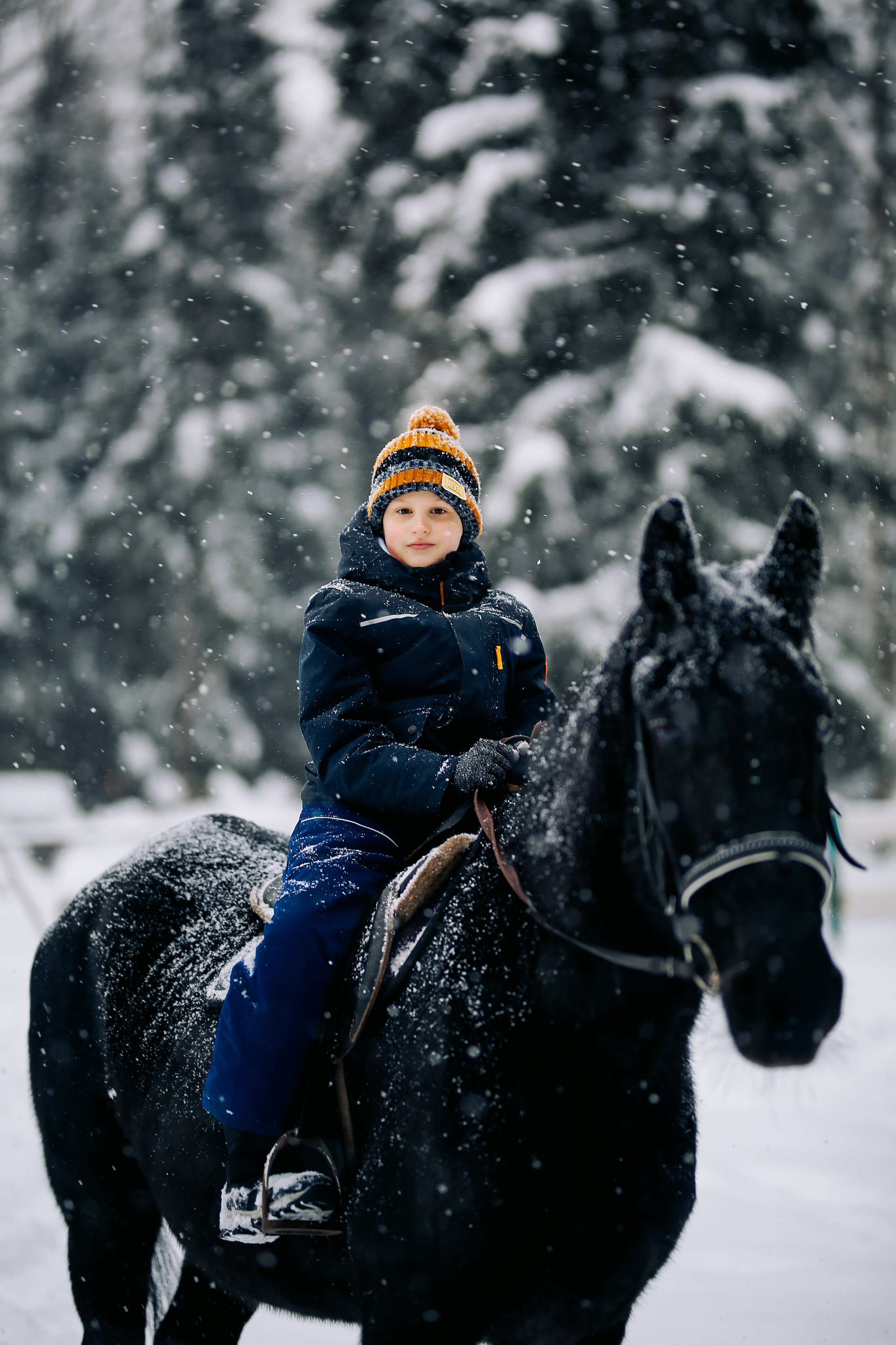С лошадками. Фотограф Анастасия Залевская