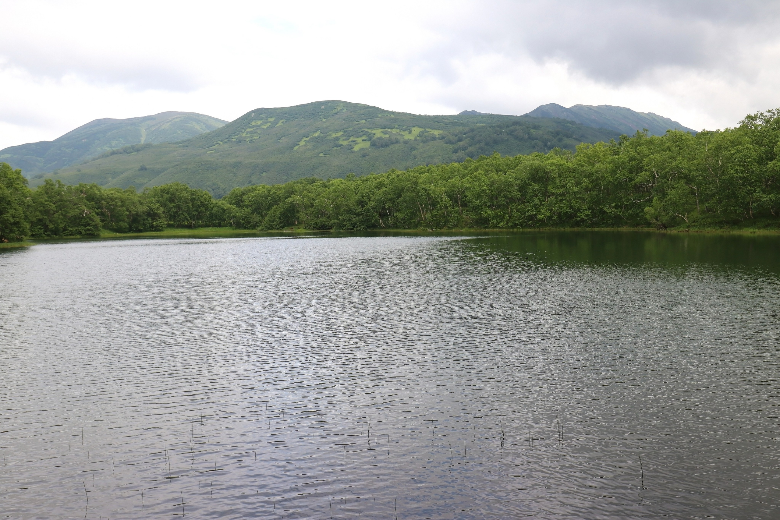 Камчатка и о. Парамушир. Июль 2024. Путешественник-фотограф из Санкт-Петербурга Татьяна Свистулина