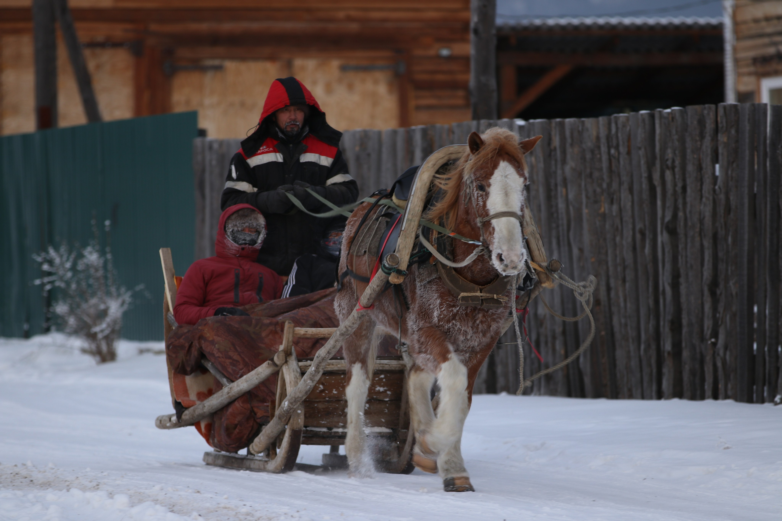Аршан. Январь 2024. Путешественник-фотограф из Санкт-Петербурга Татьяна Свистулина