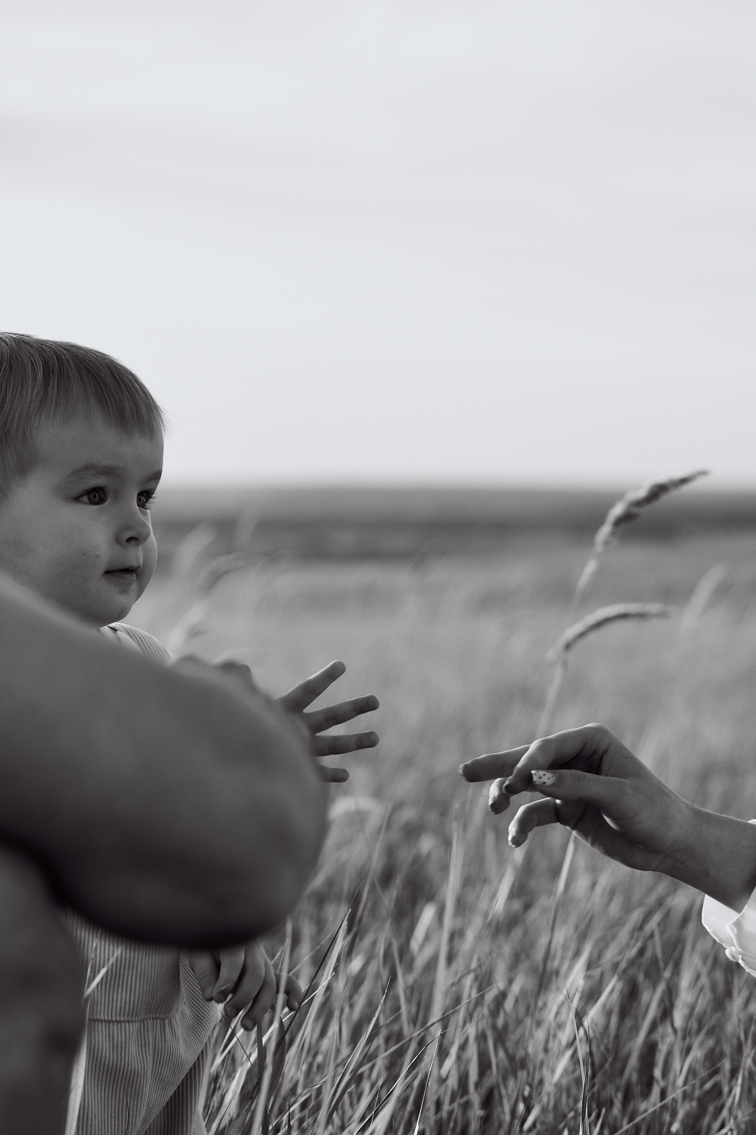 Шамиль, Аня и Марс в поле с барашками. Семейный и свадебный lifestyle-фотограф в Москве Мария Петрова