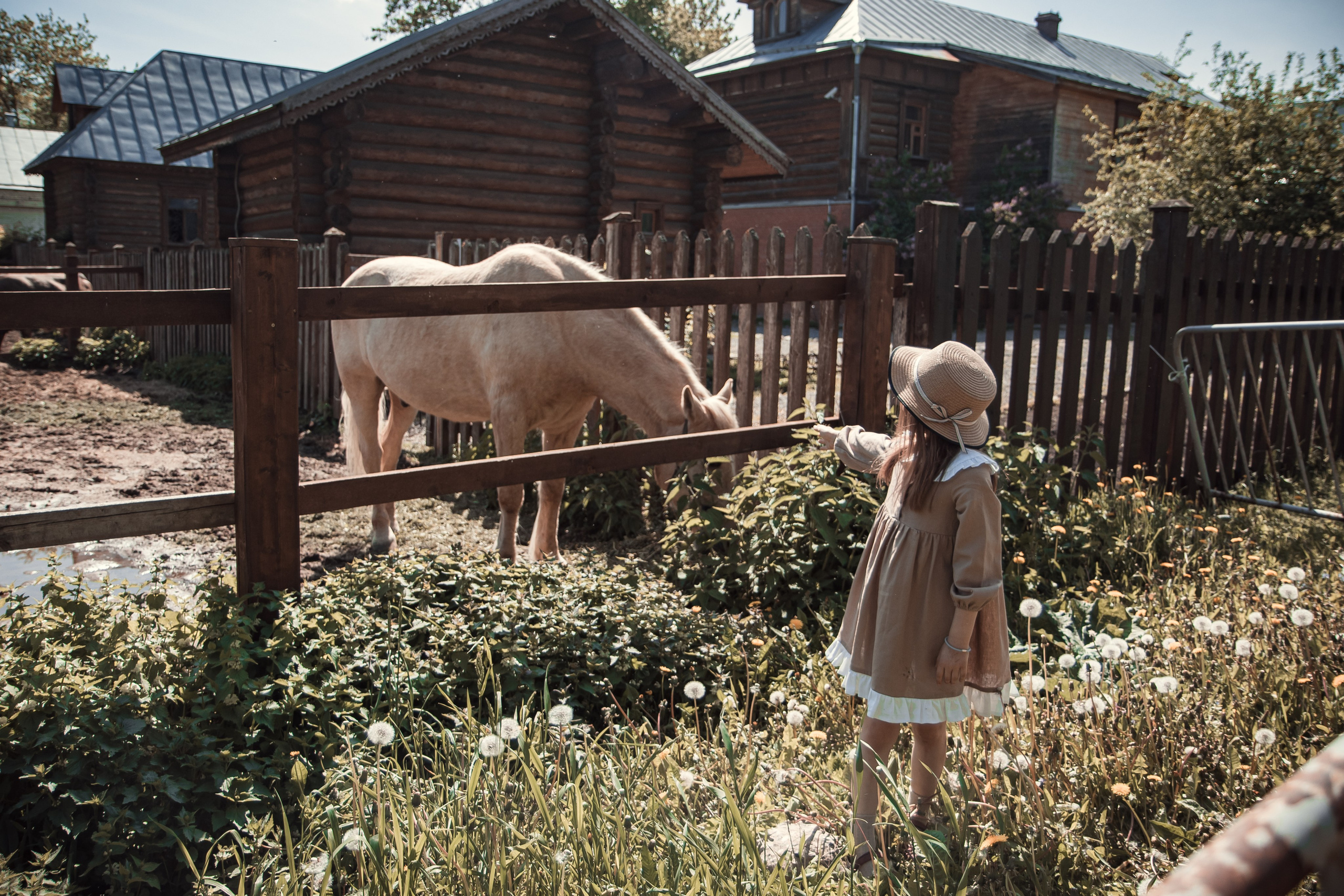 Подружки. Детский и семейный фотограф в Пушкино, Мытищи, Москва Сергеева Светлана