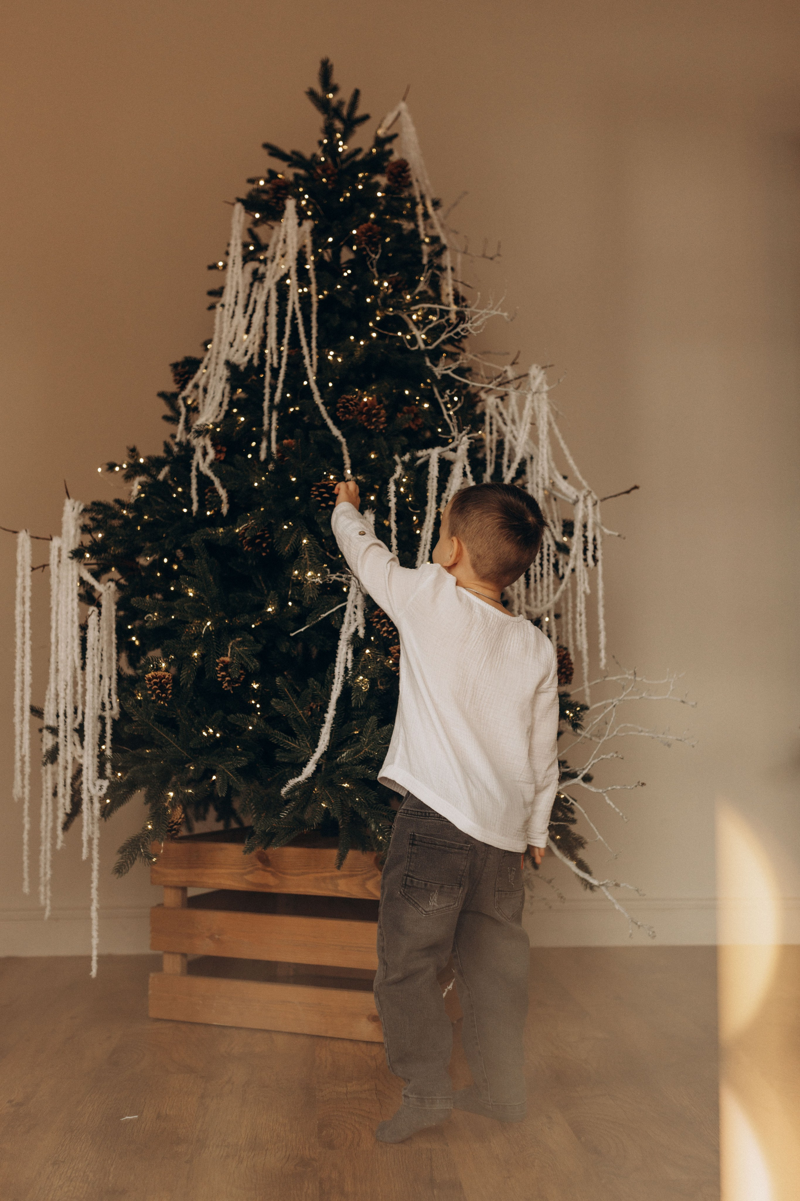 Новогодняя. Фотограф в Ставрополе Svetlana Matveeva