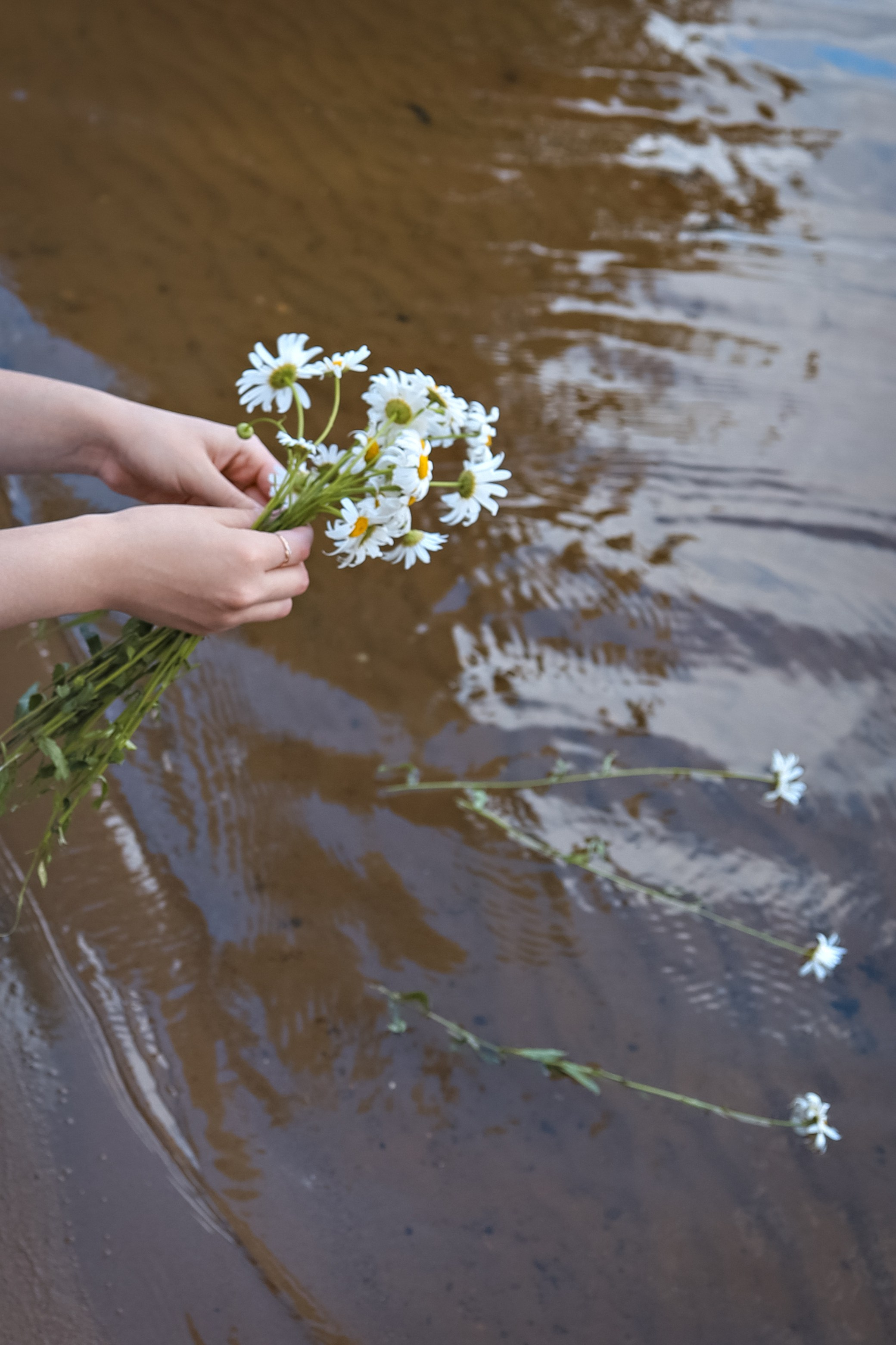 Индивидуальные съемки. Фотограф Нина Пашина — Пермь