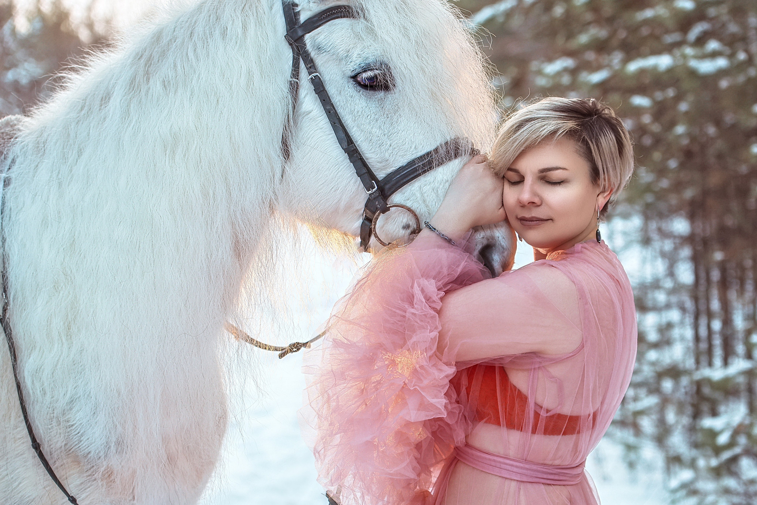Феникс. Конный фотограф в Красноярске — Любовь Похабова
