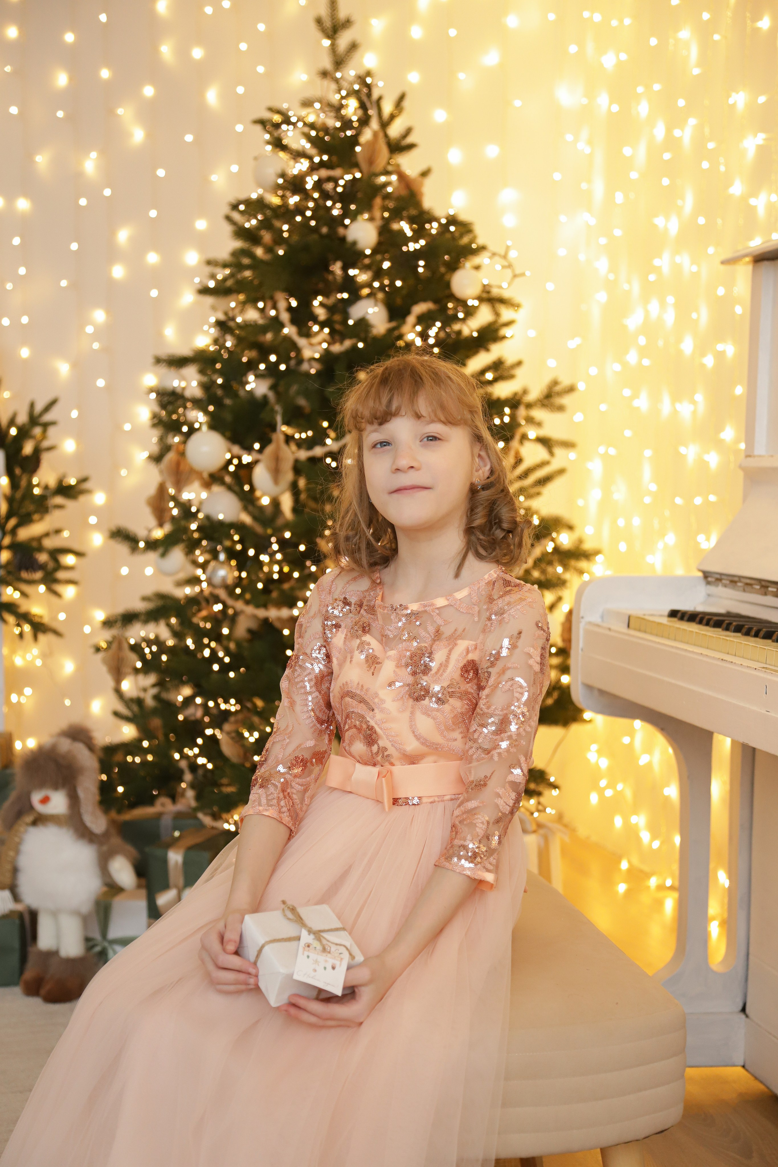 Сестрички новогодняя. Диана Николаева — фотограф город Балашиха