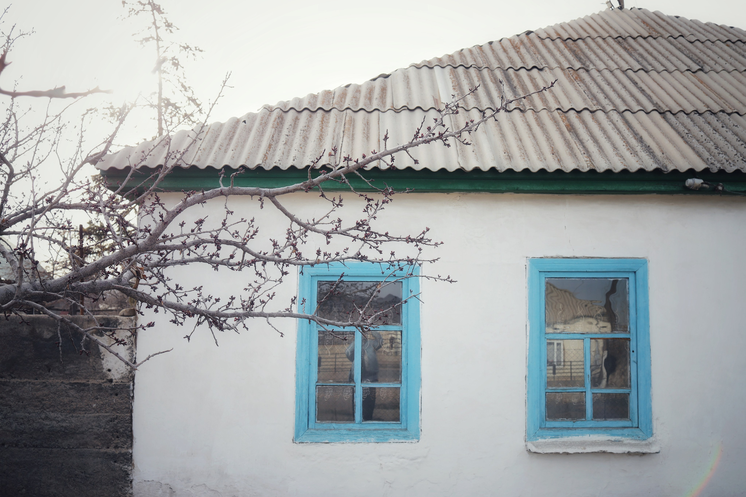 Sense of Bokonbayevo village / Kyrgyzstan 2024. POLINA MÔMOT