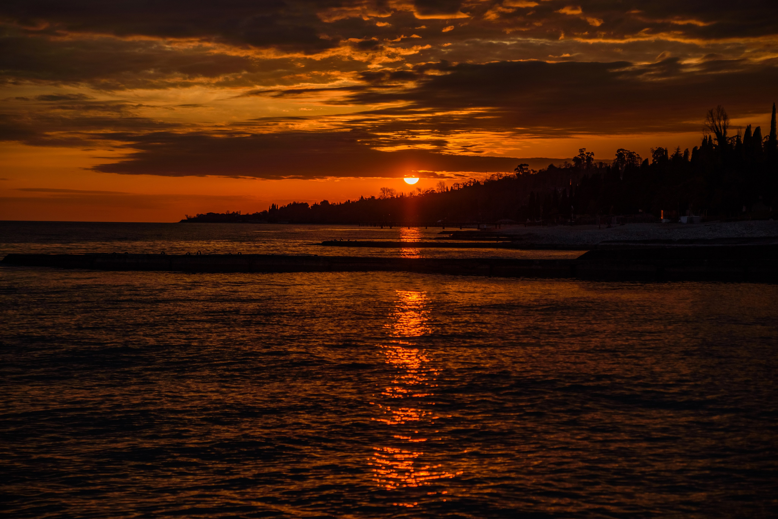 Goblincore, природа, фэнтези, нечисть, лес, гоблинкор, эльфы, фотосессии, костюмированные