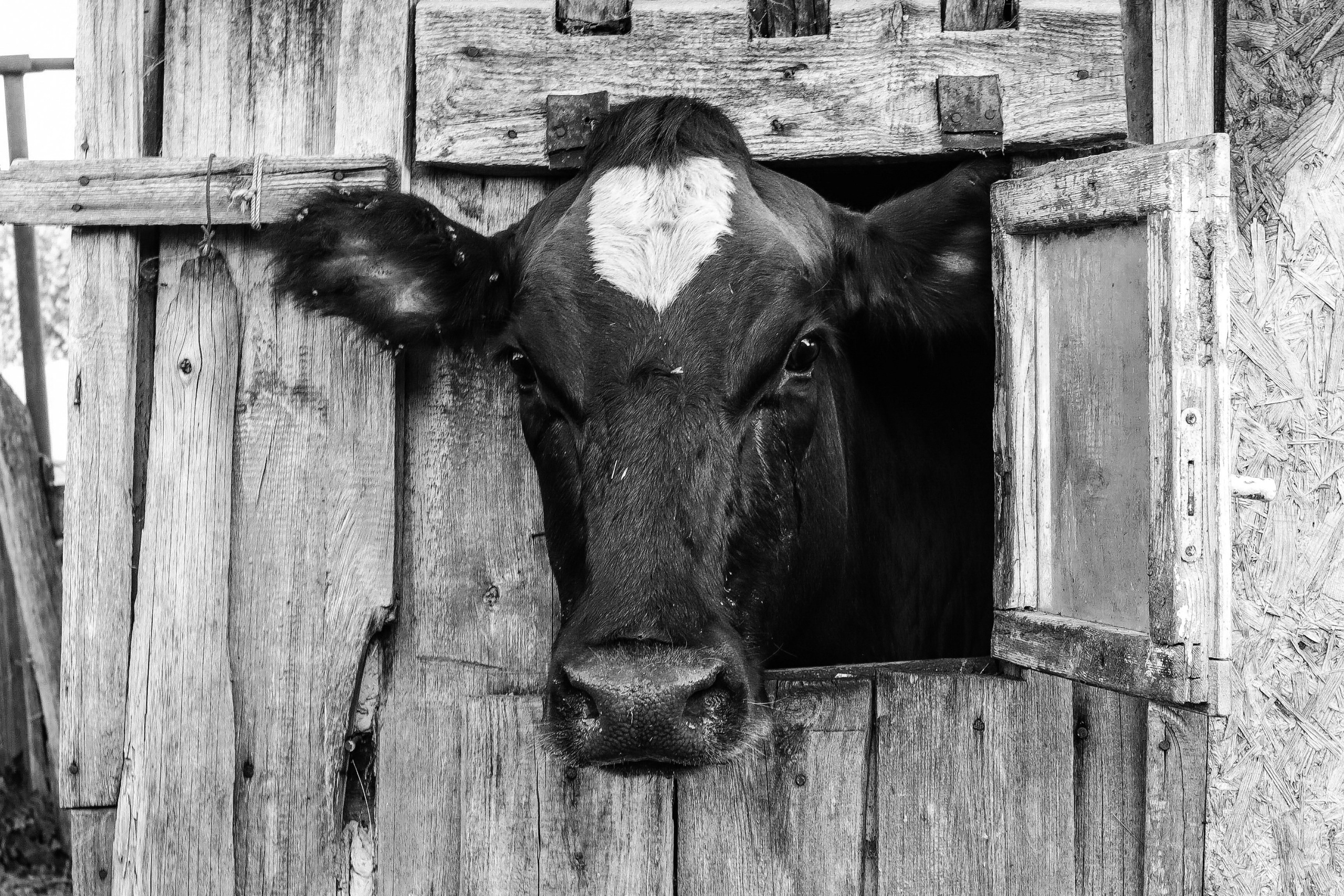 СКВОЗЬ ВРЕМЯ. Ekaterina Ageeva