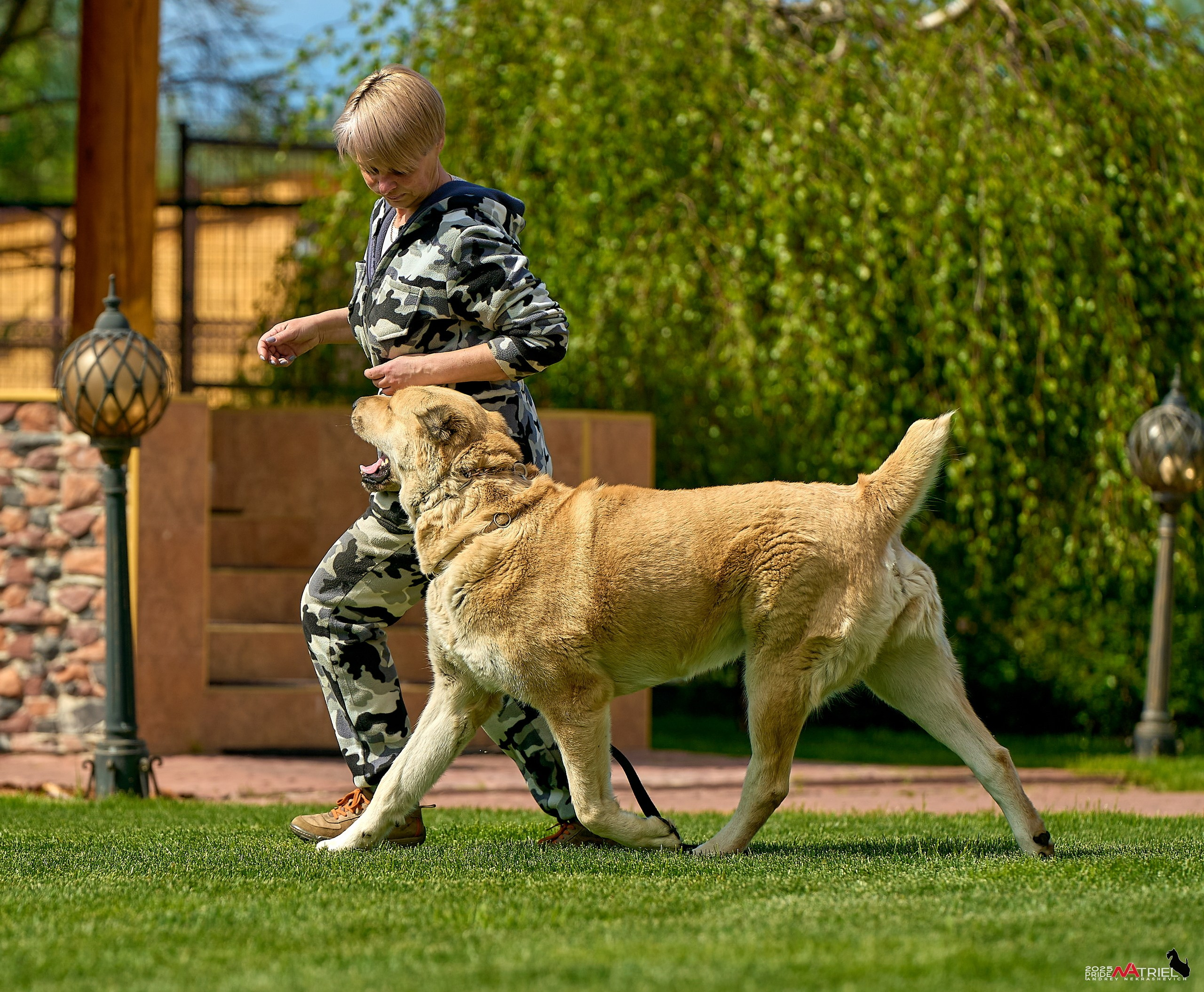 Съемка в питомнике