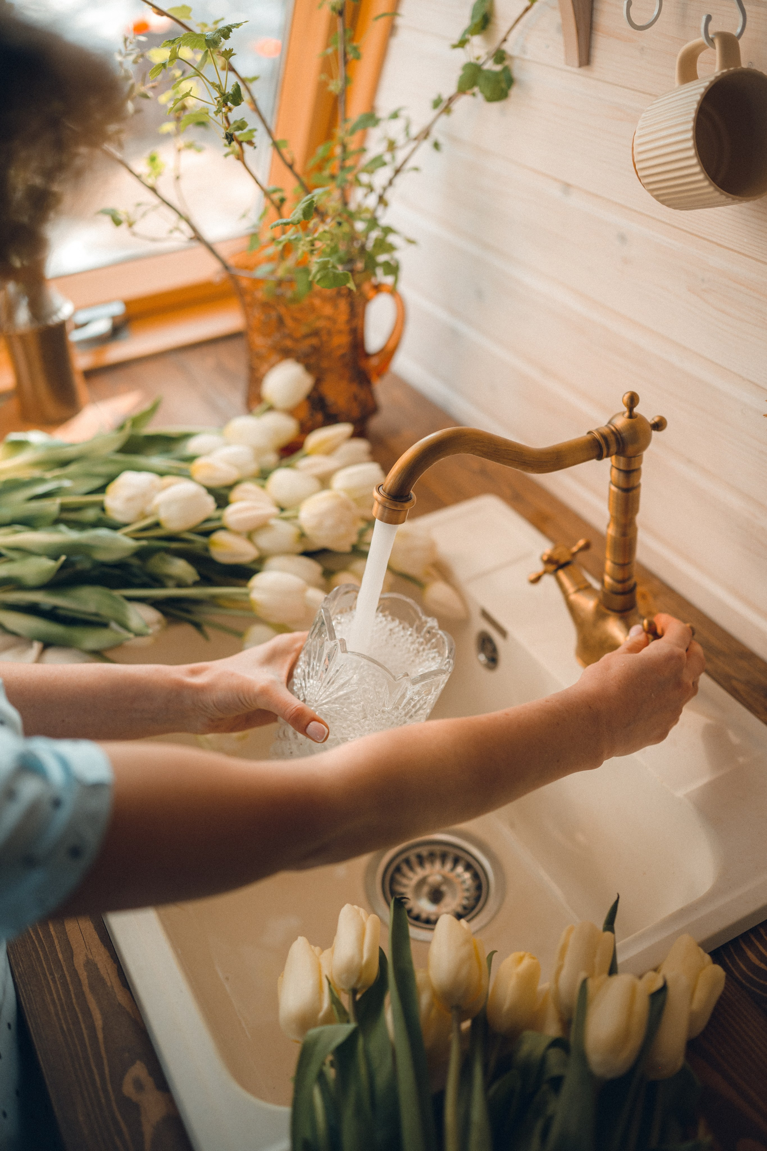 ДОМИК В ЛЕСУ. Фотограф в Белграде Чугреева Елена