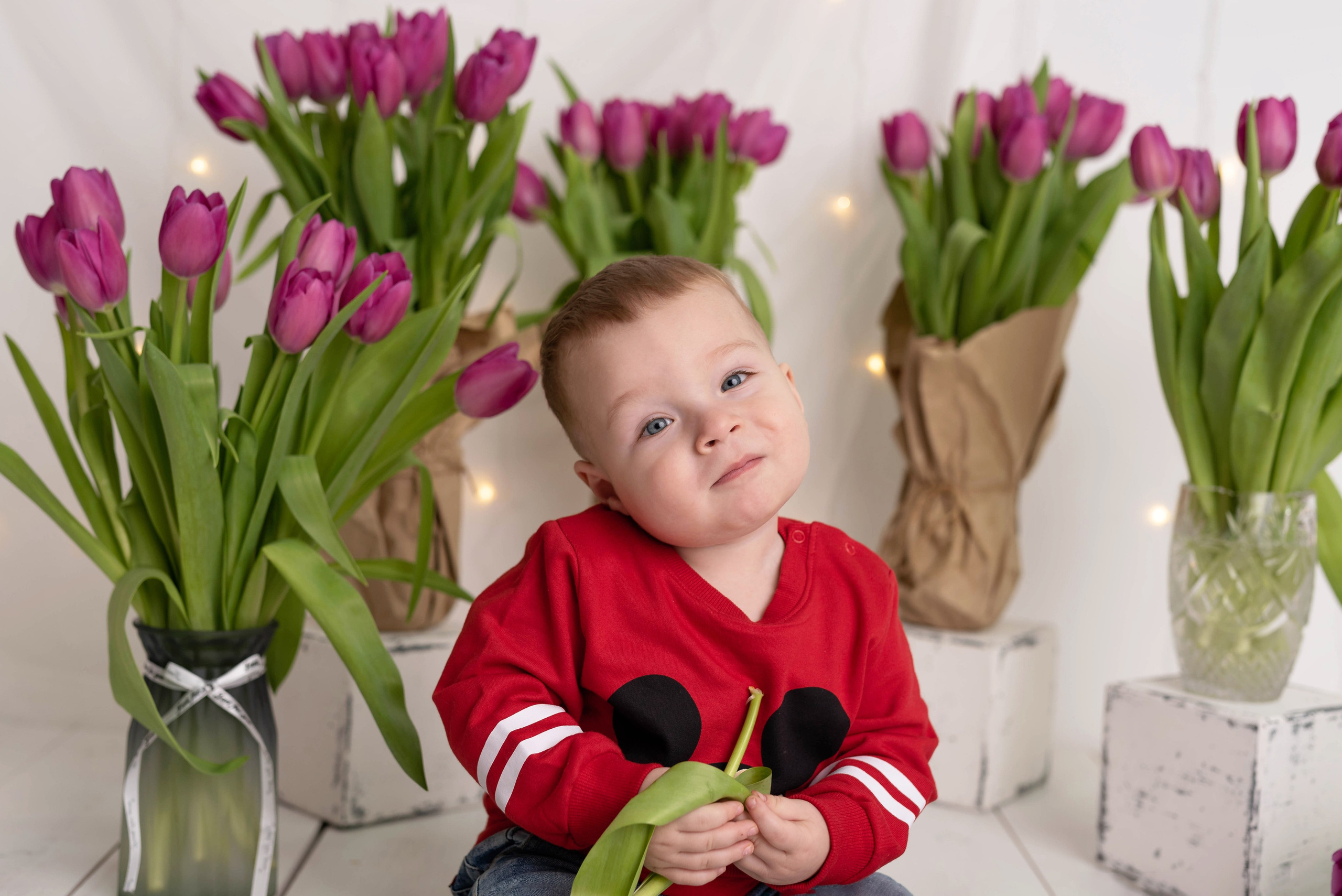 Тюльпаны. Фотограф новорожденных в майкопе