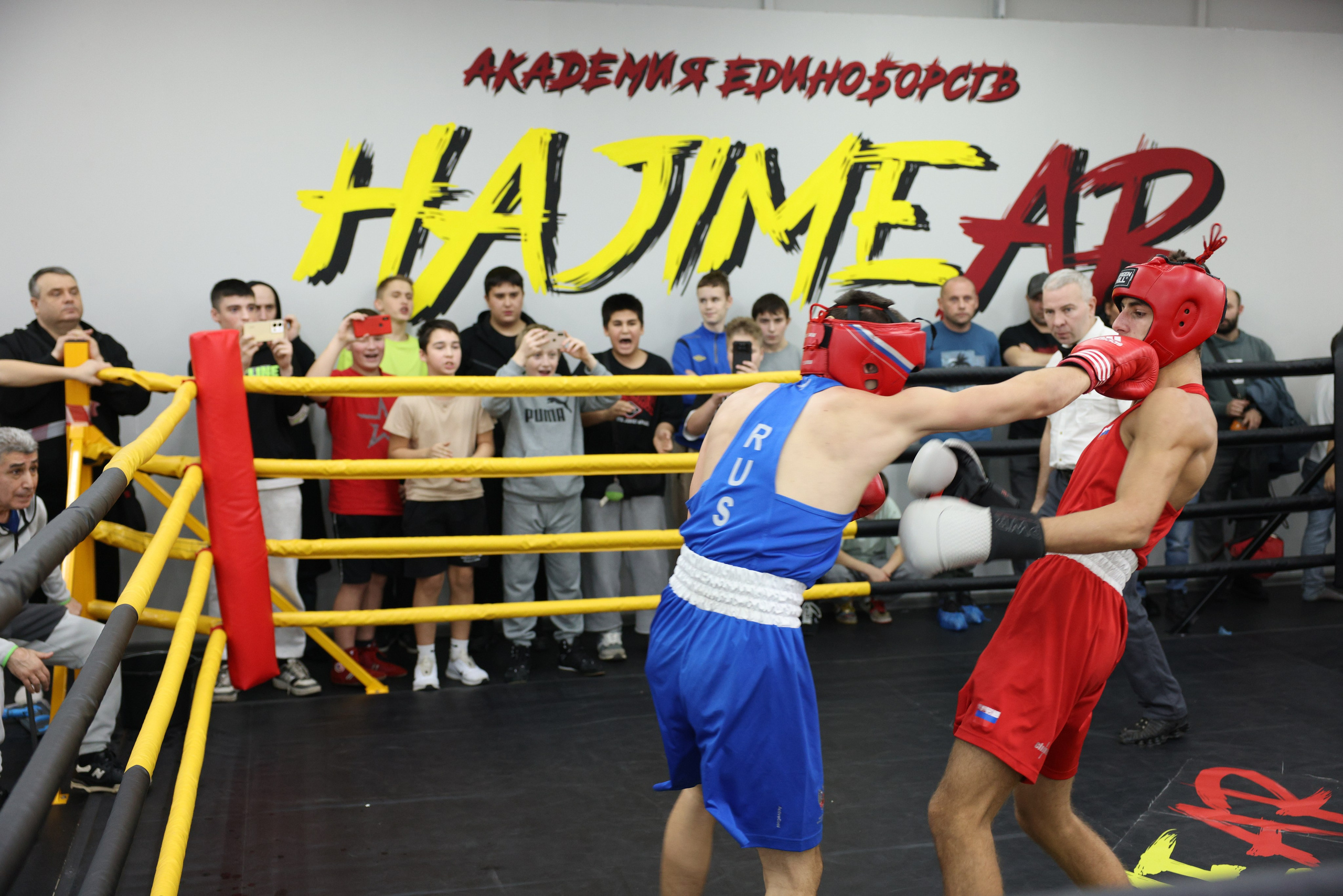 Открытый ринг «кубок ООО «ТЭК НеваСпецТяж». Фотограф Александр Заломаев