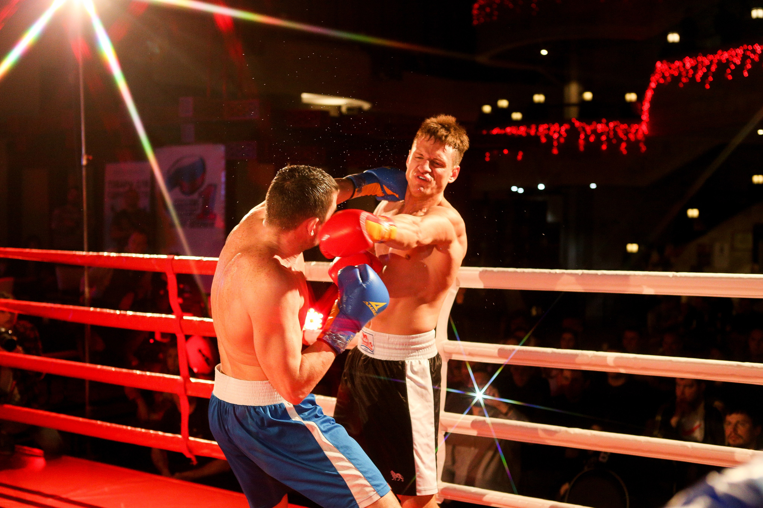 БОКС Империя Цынь, турнир первый. Фотограф Александр Заломаев