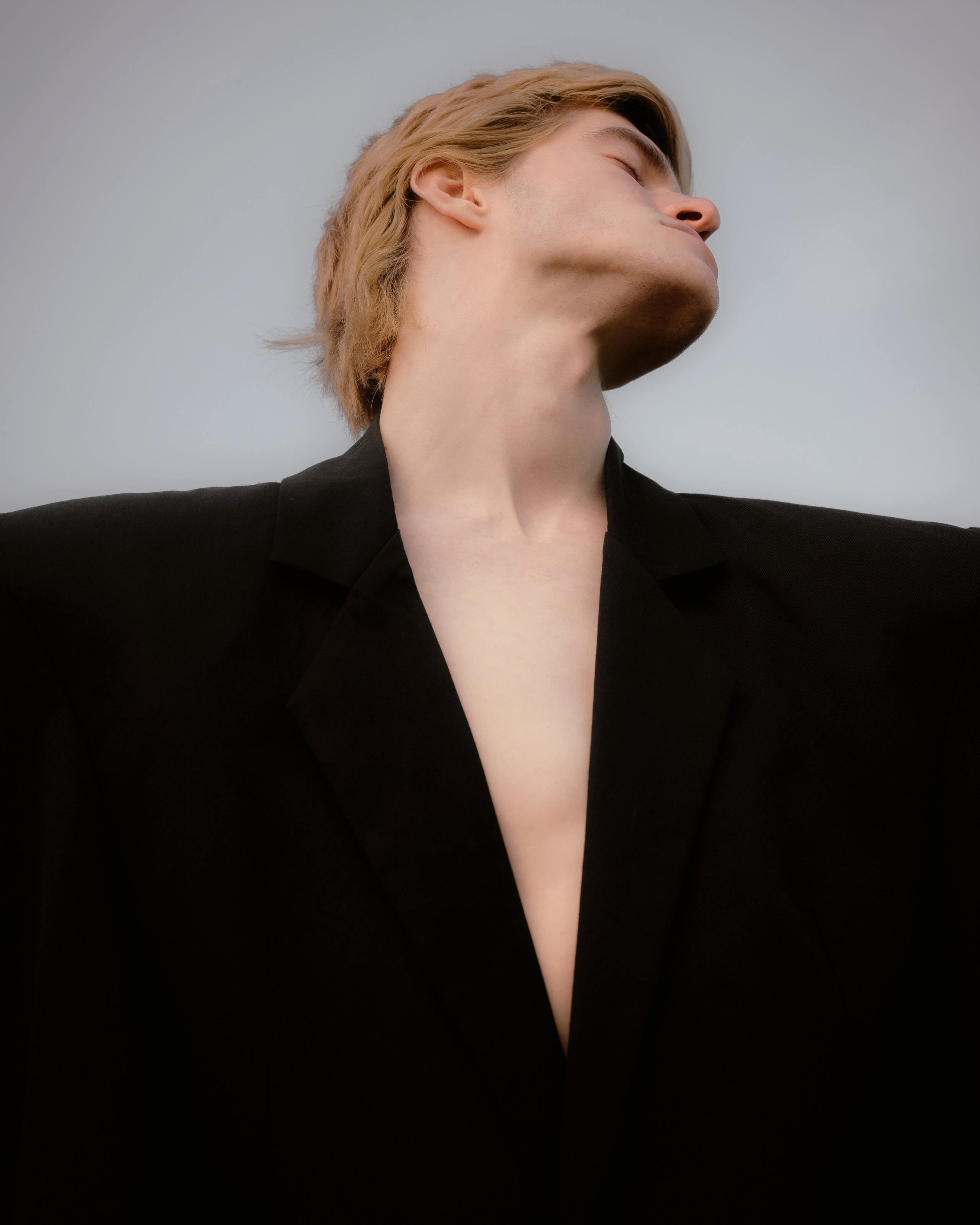 Compaing for Luceatanima