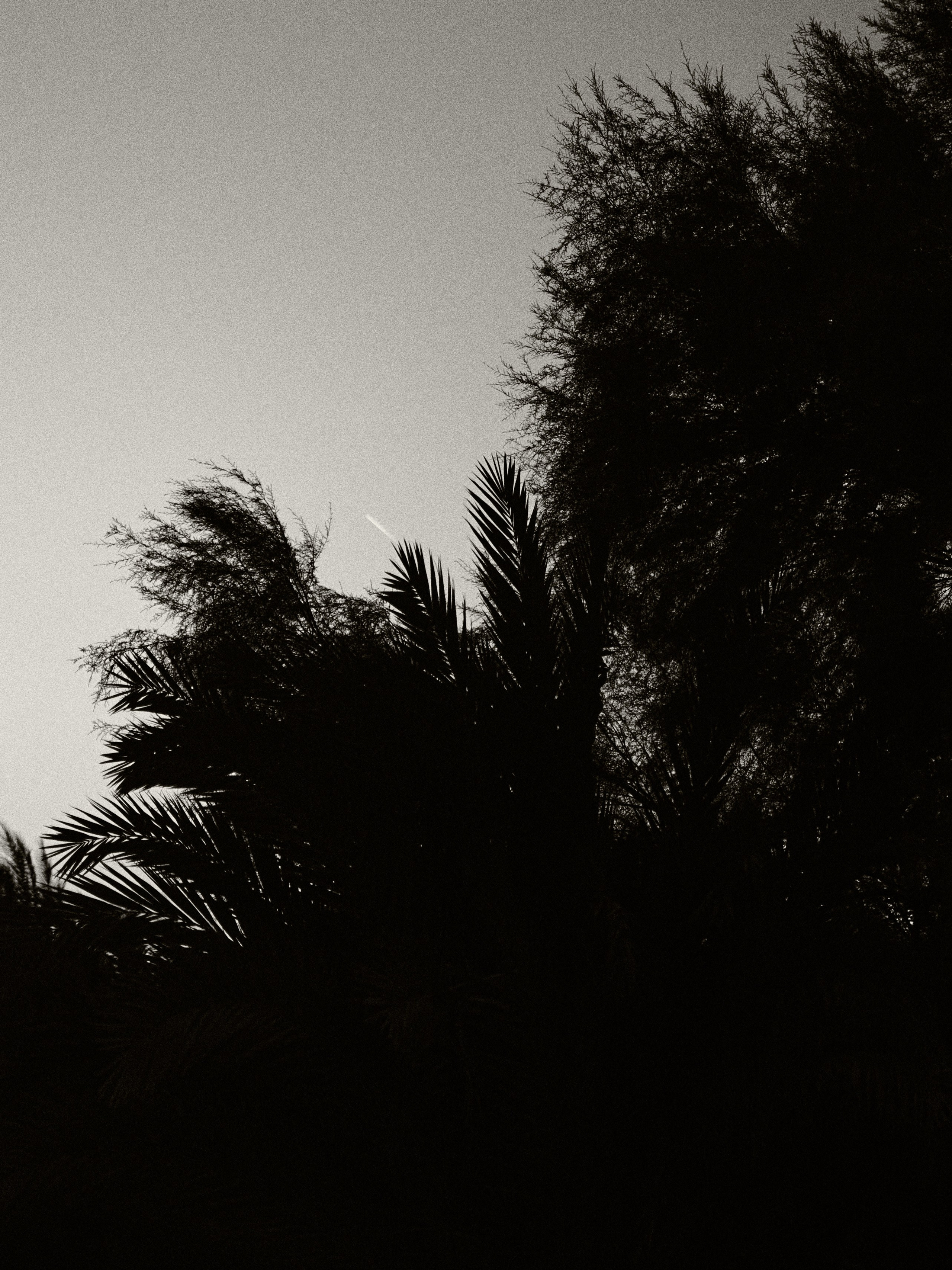 Диптих. Jorgis — фотограф в Хургаде / обучение фотографии