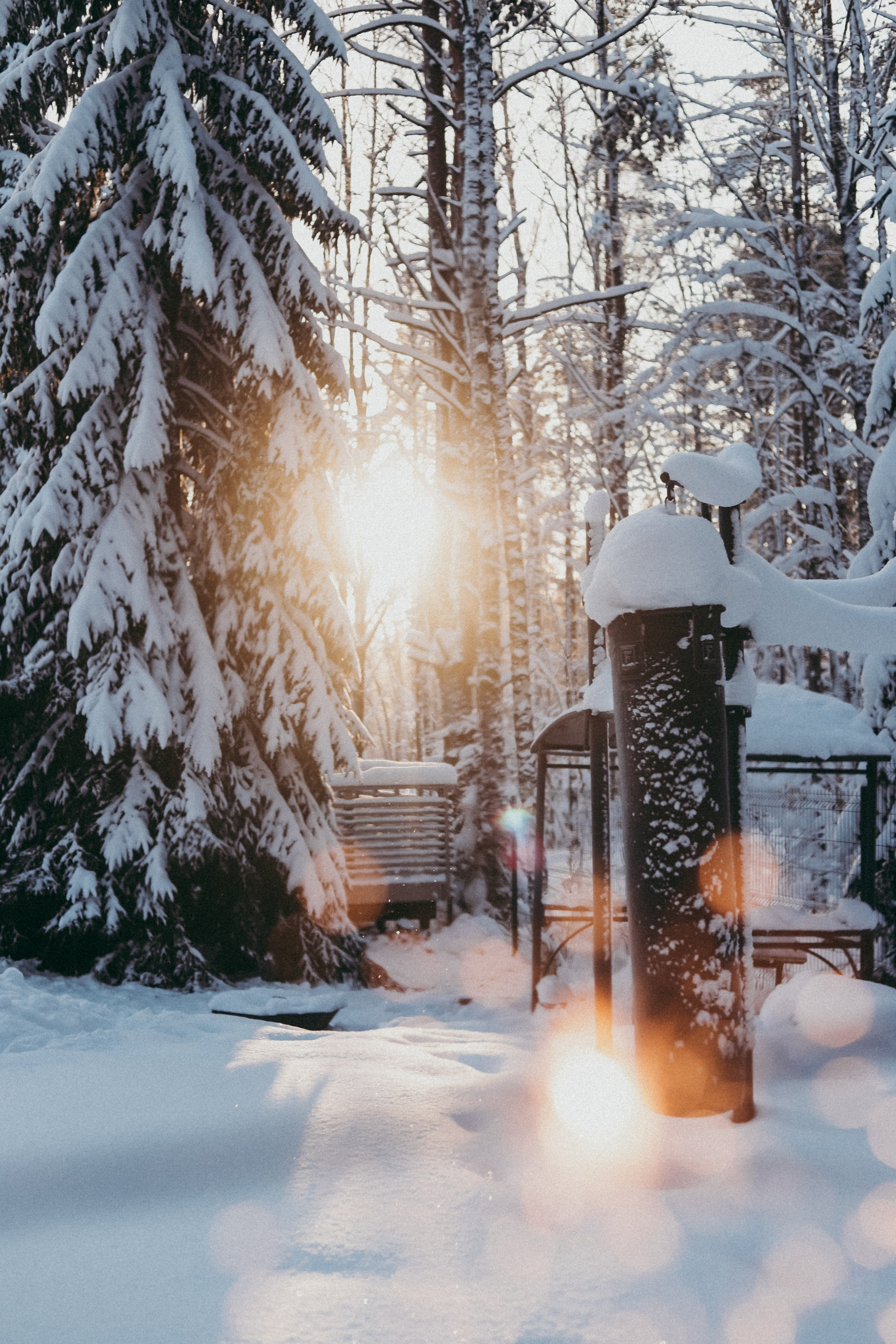 Инна и Вера. Фотограф Москва и Санкт-Петербург