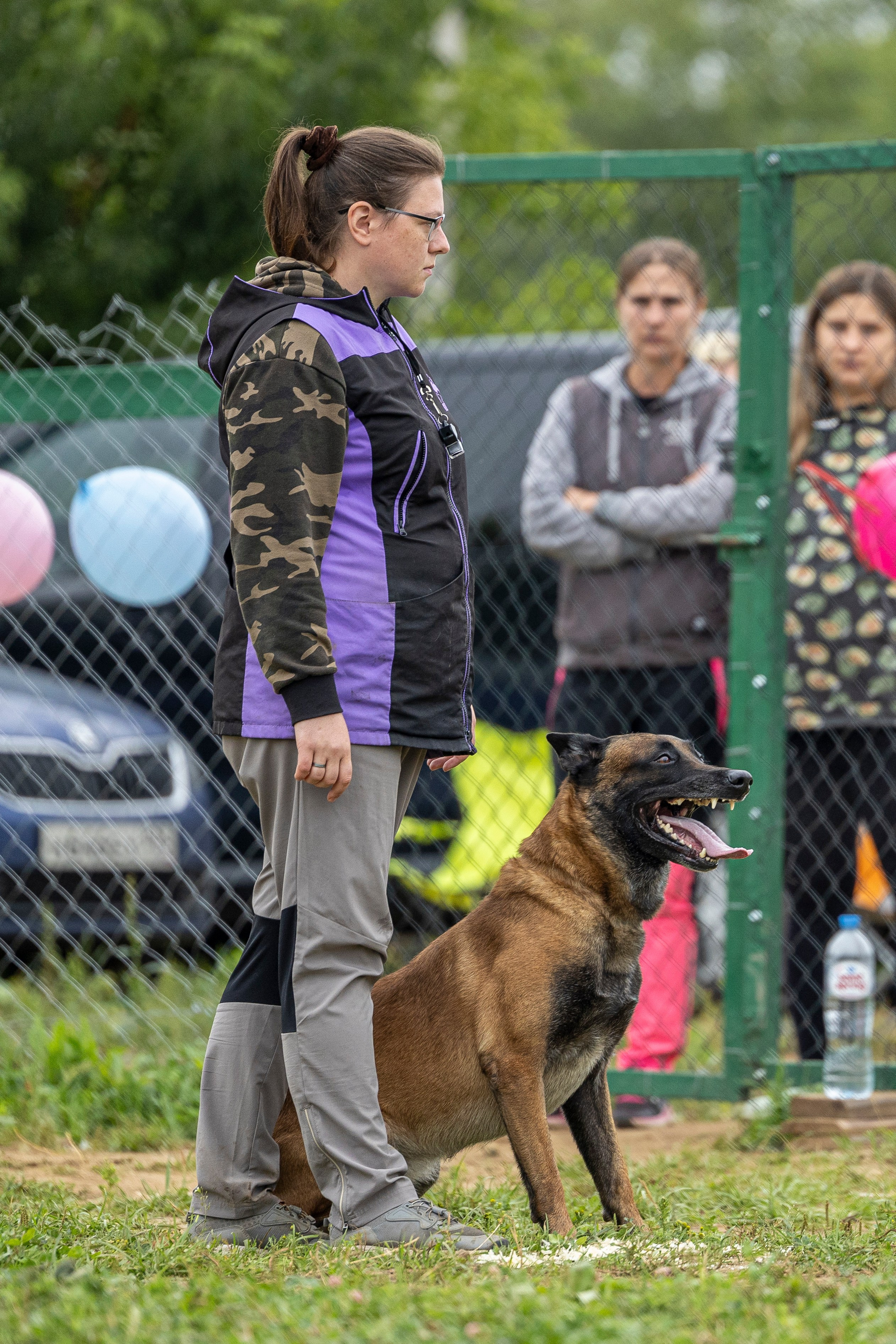 Соревнования по Мондьорингу г. Вологда 10-11.08.2024. Фотограф-анималист Анна Маринич