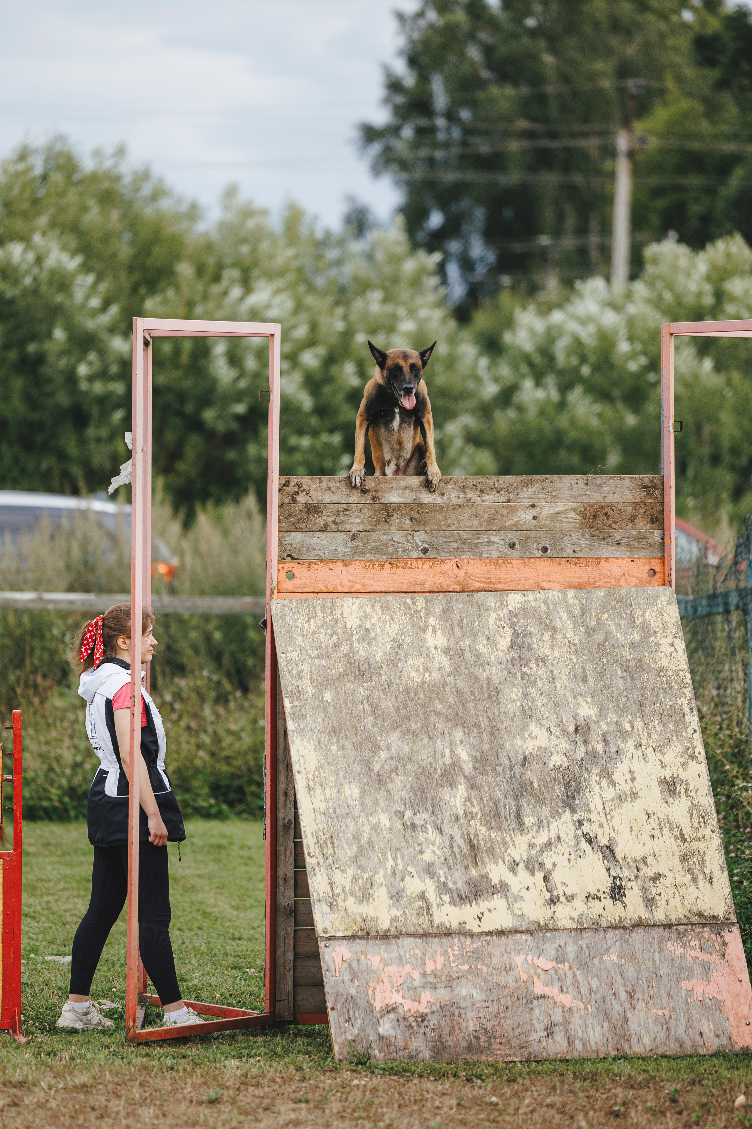 08.08.25-10.08.25 ЧР по мондьорингу г. Вологда. Фотограф-анималист Анна Маринич