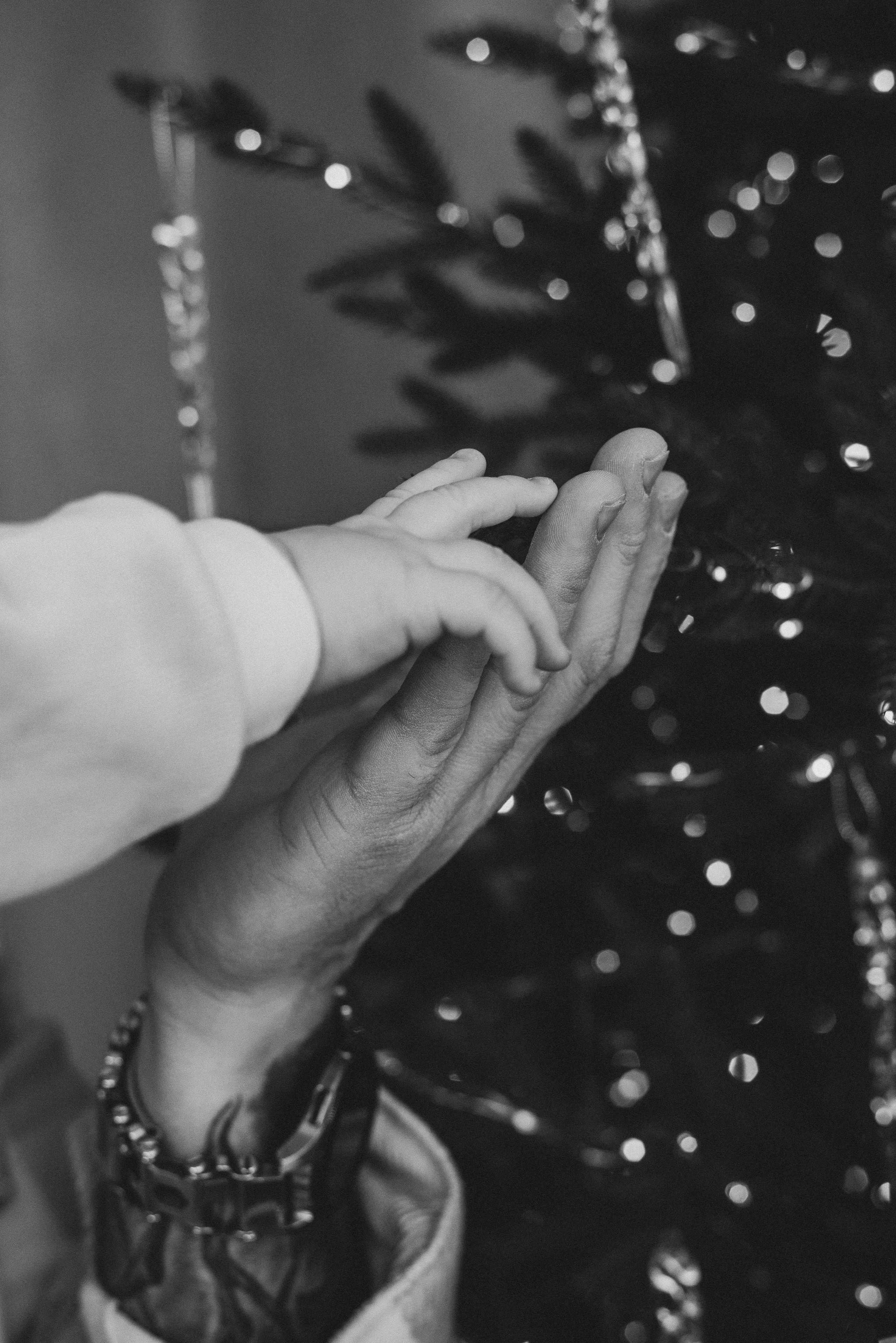 Alena Viktor & Yevgeny. Natalia Finch Photography — Family, Kids & Pet Photographer in Chicago, IL