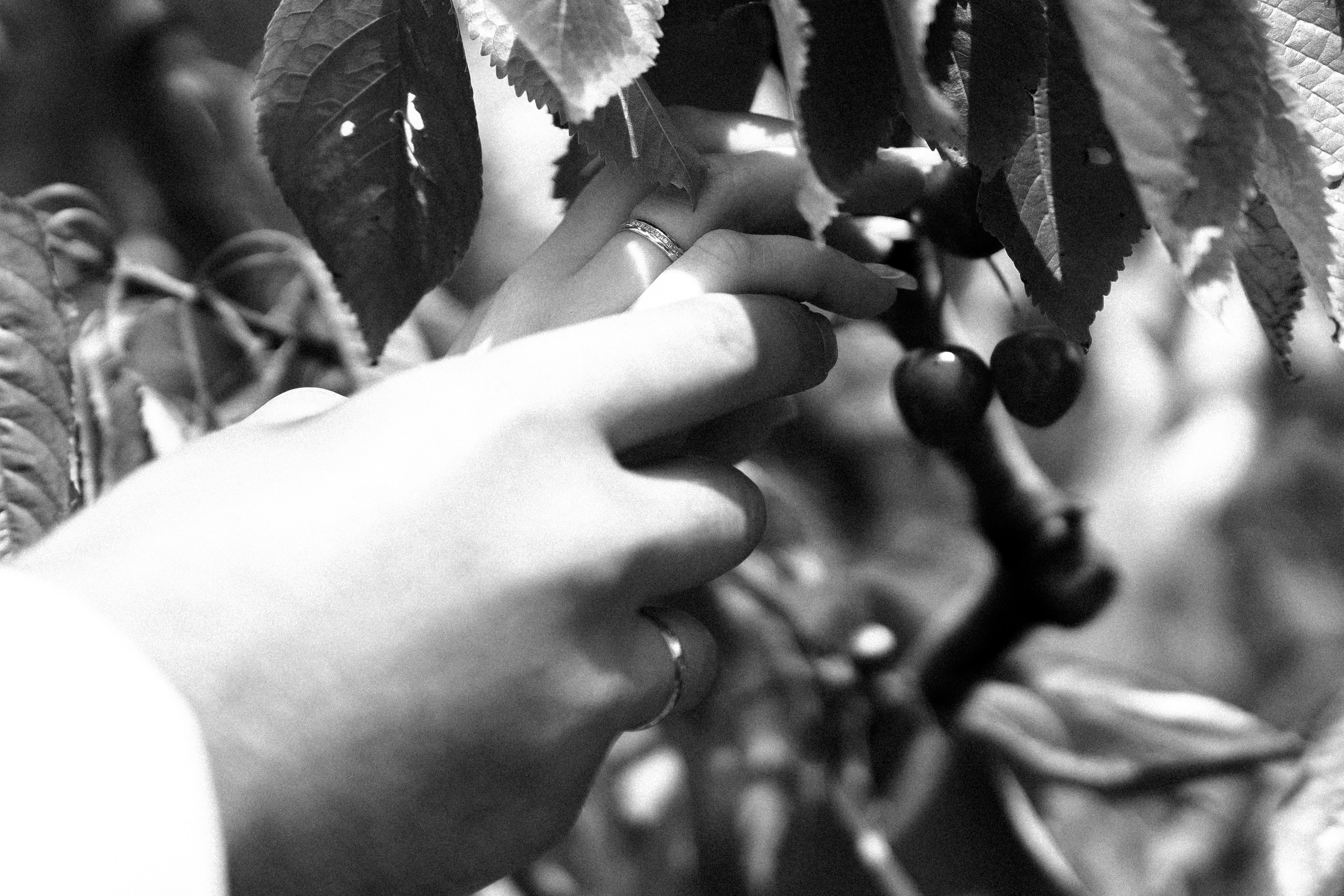 Свадебные истории. Фотограф для ваших эмоций — Каролина Исай!