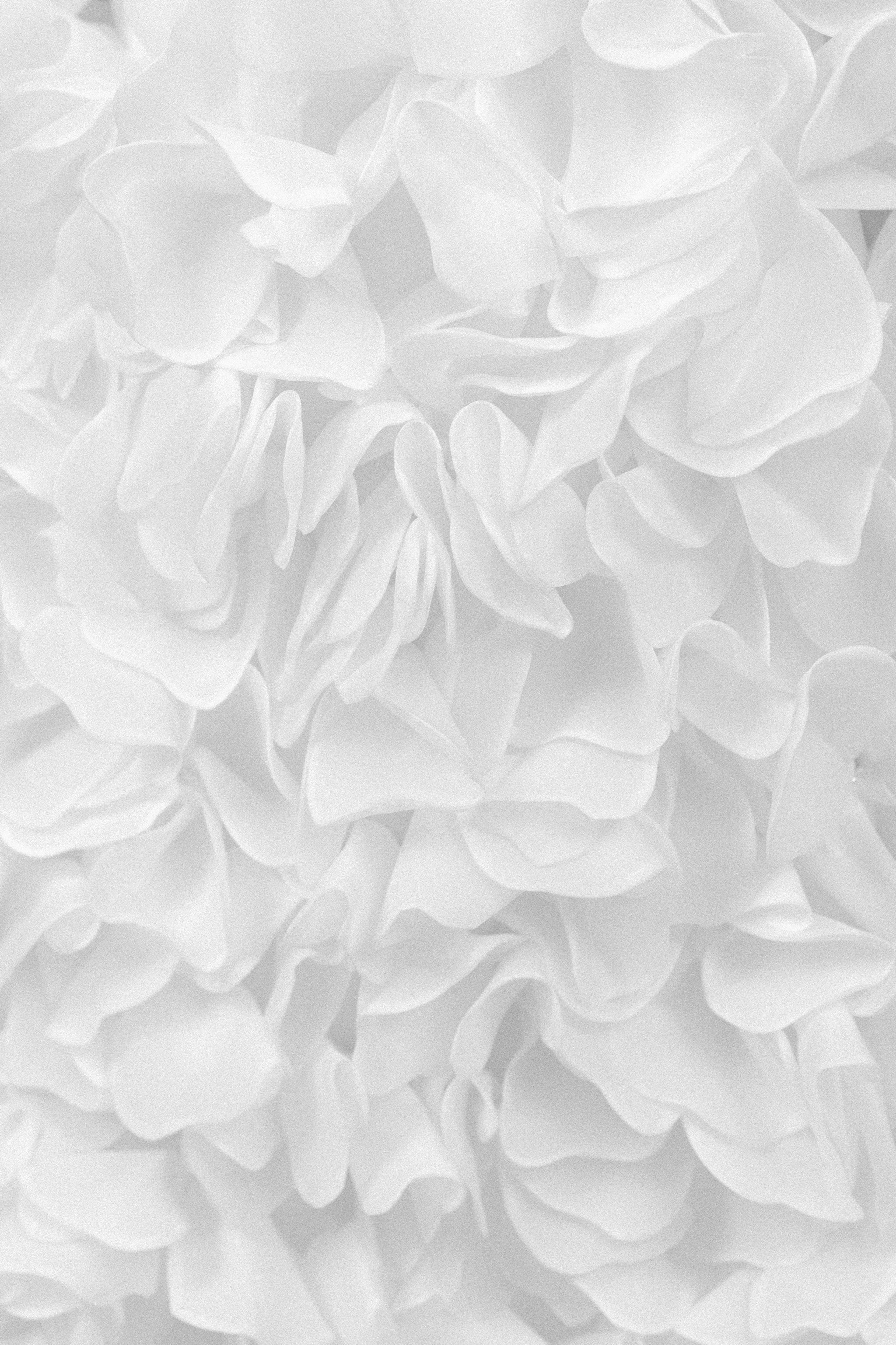 Данил & Диана